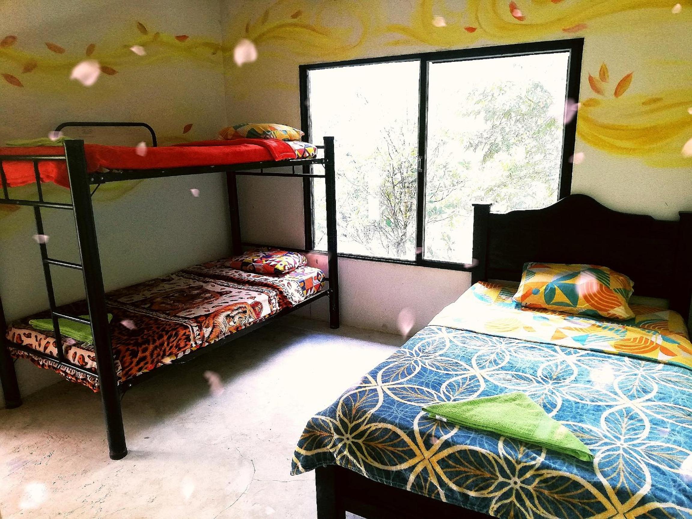 Bed in 4-Bed Mixed Dormitory Room photo 1