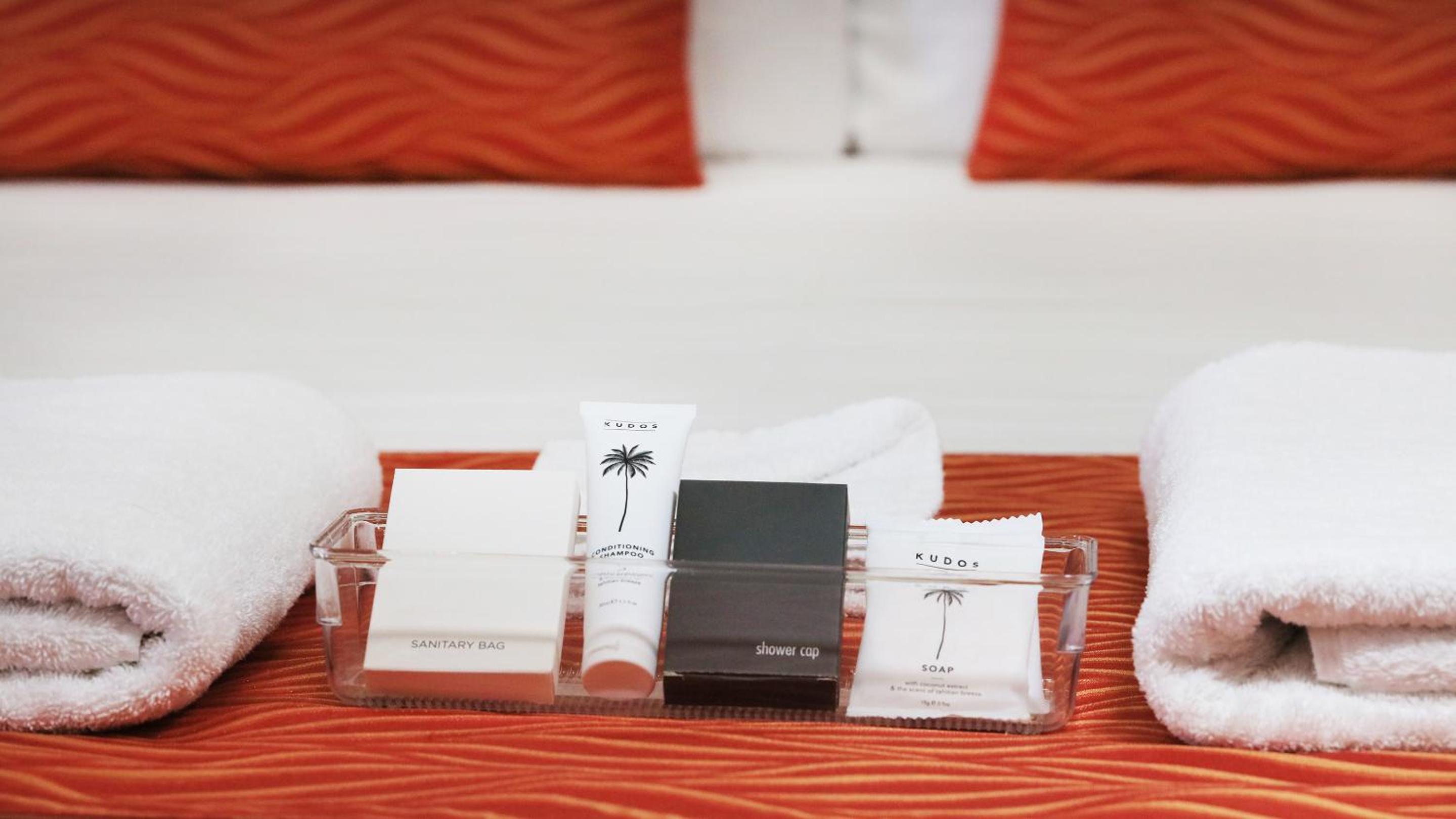 Deluxe Twin Room photo 2