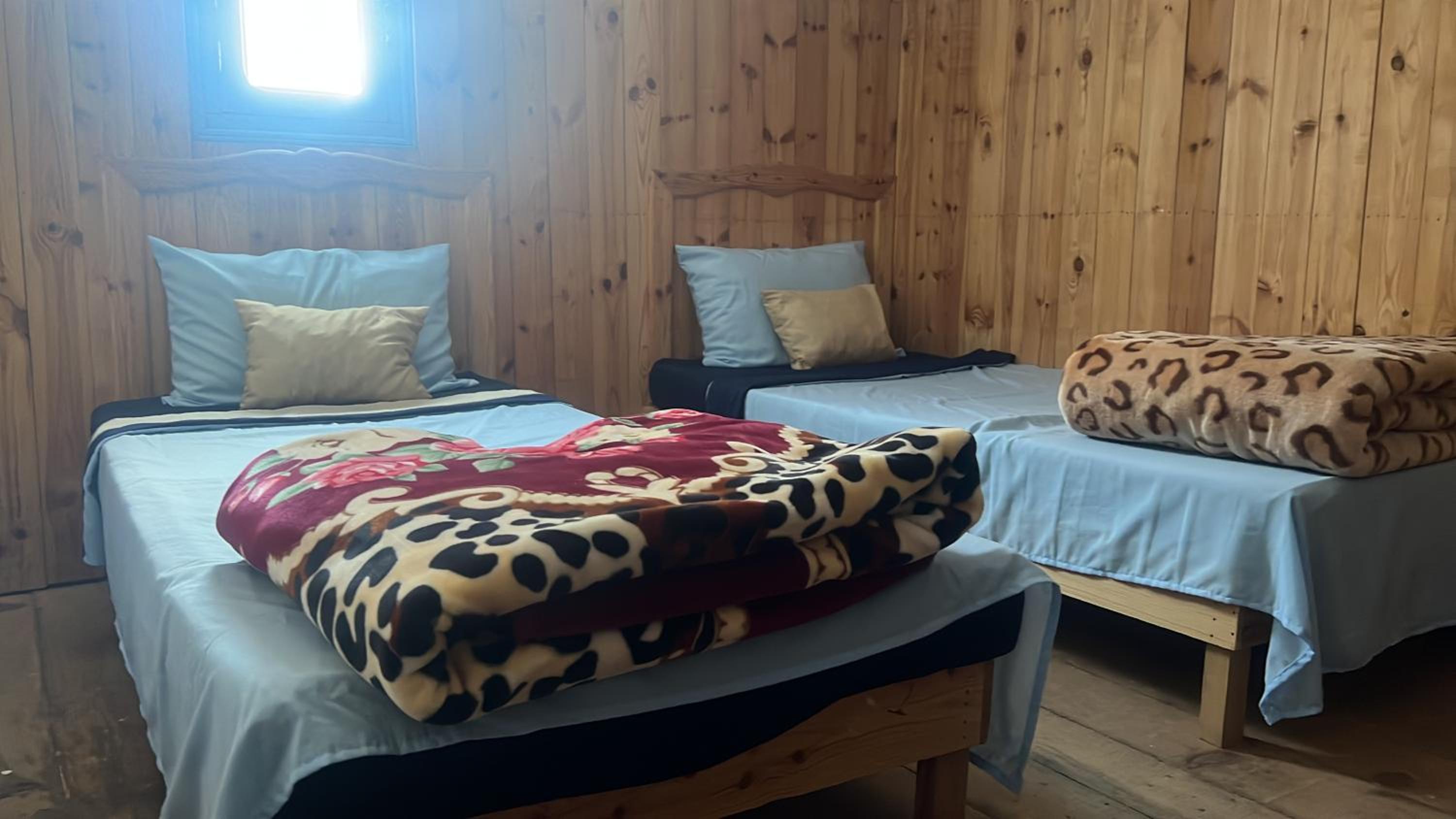Twin Room photo 2