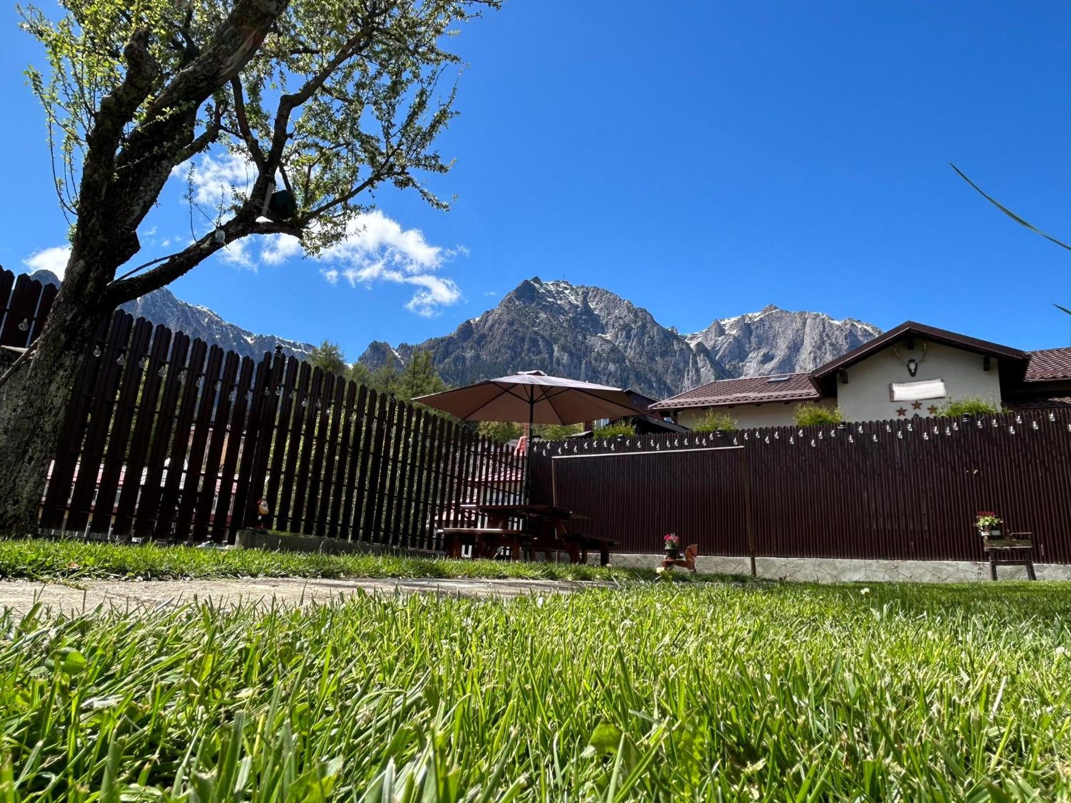 Apartment with Mountain View photo 3