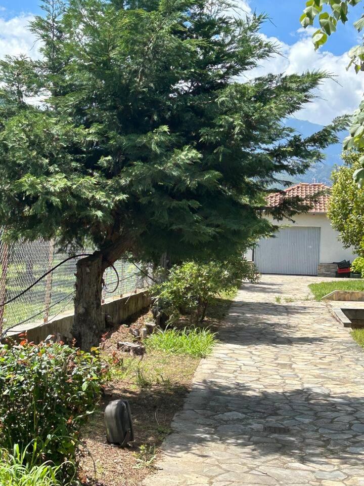 Villa photo 2