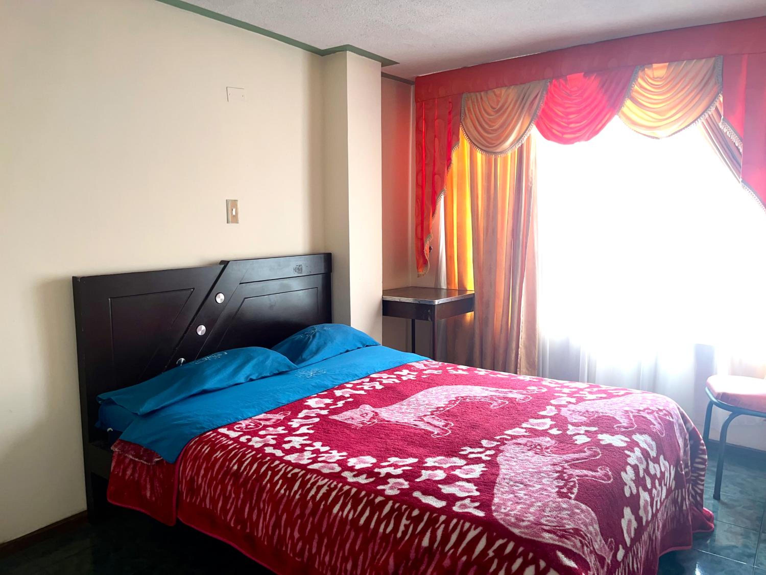 Single Room photo 2