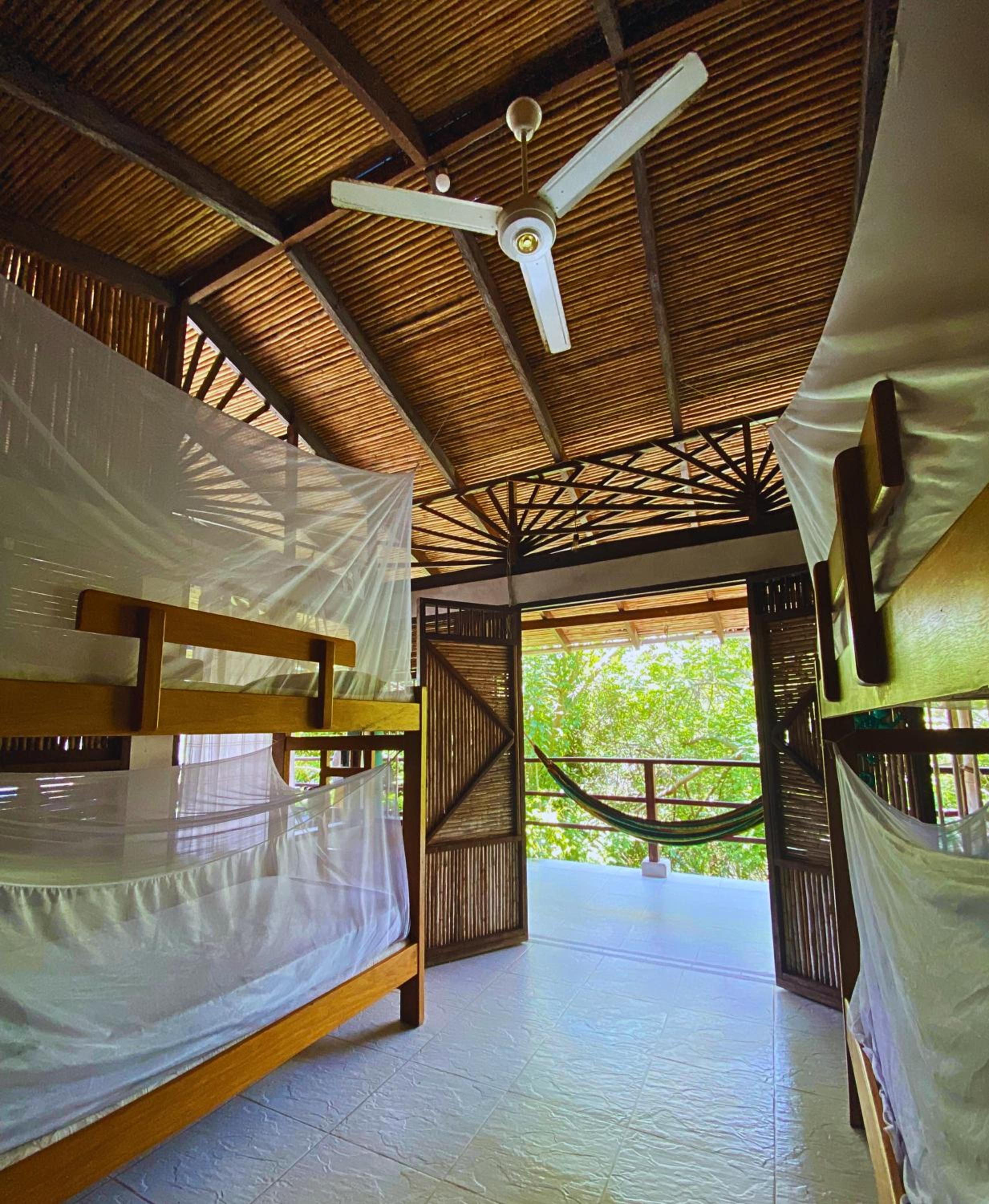 Mixed Dormitory Room photo 1