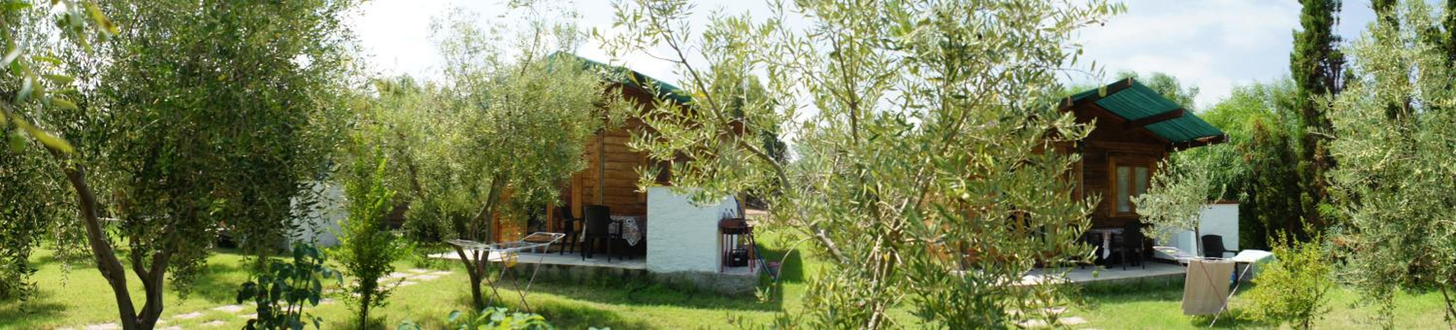 One-Bedroom Bungalow (2 Adults) photo 3