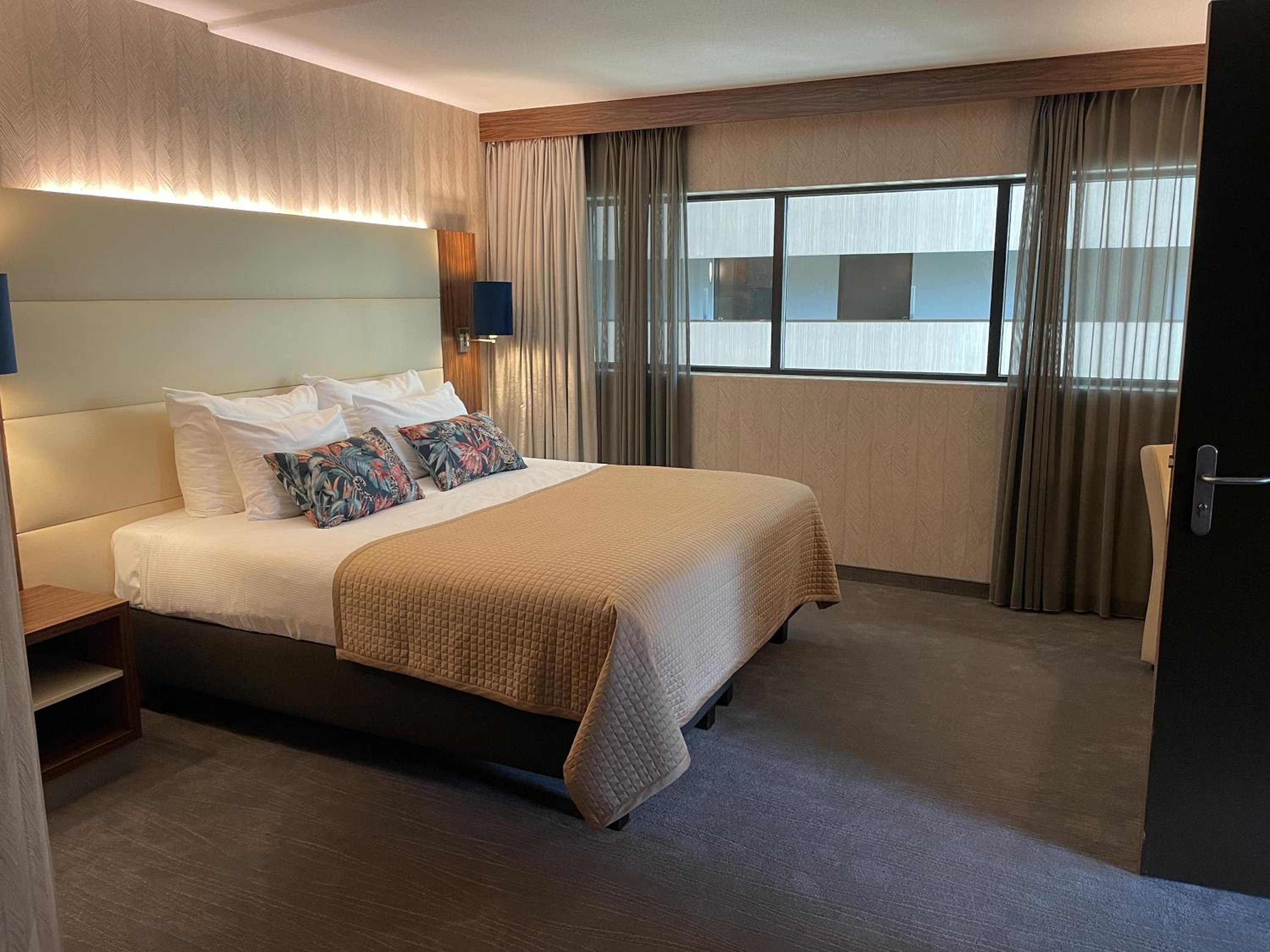 Suite - Photo 1
