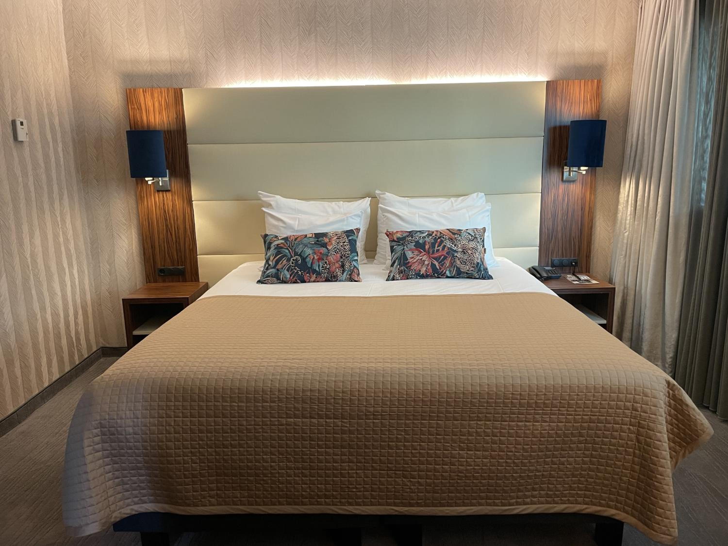 Suite - Photo 2