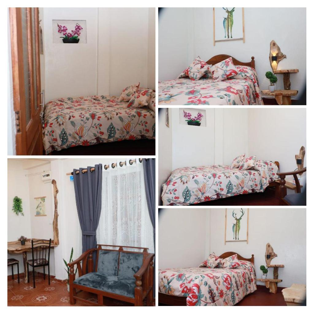 Double Room with Shared Bathroom photo 1