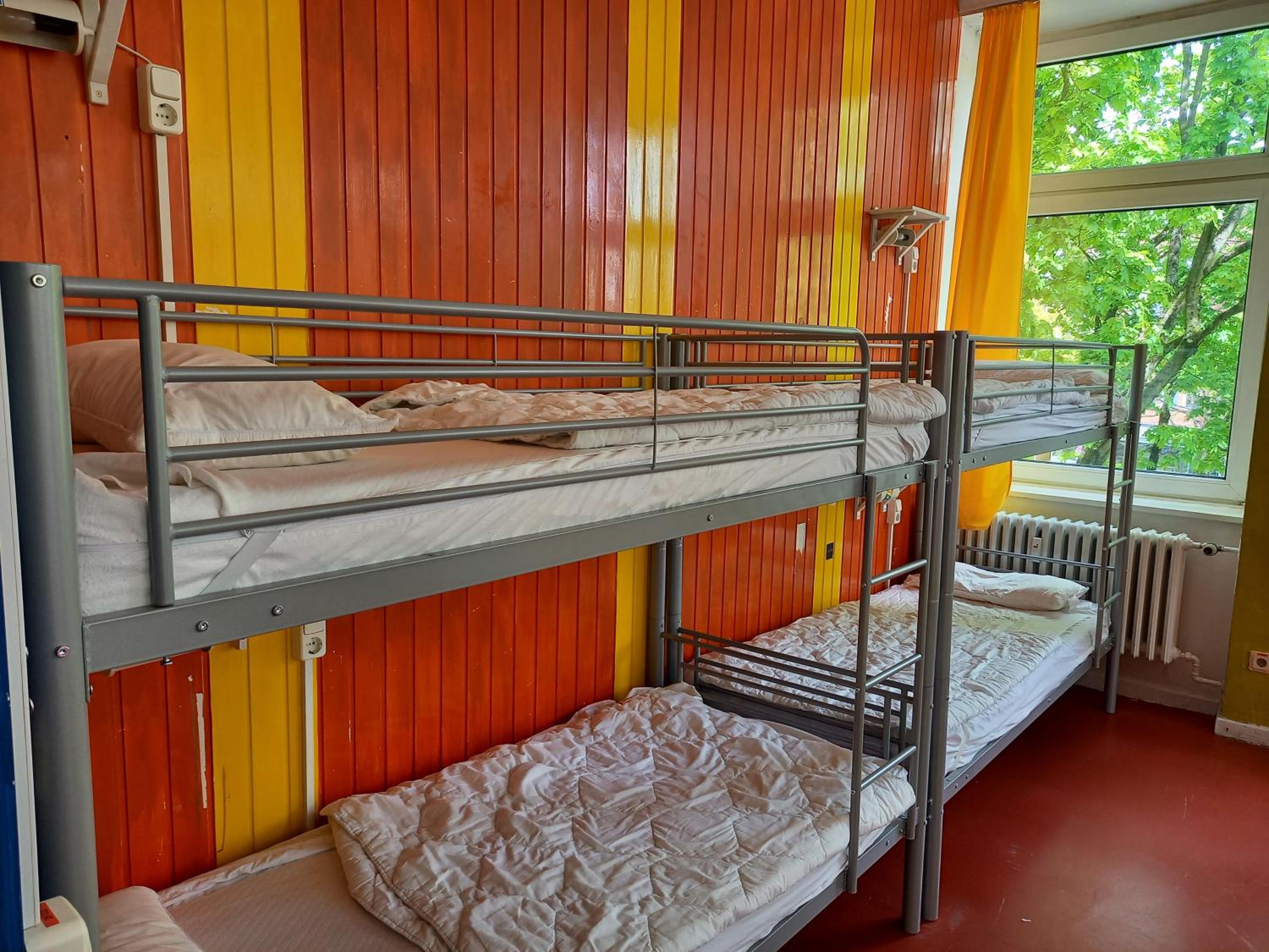 Bunk Bed in Mixed Dormitory Room