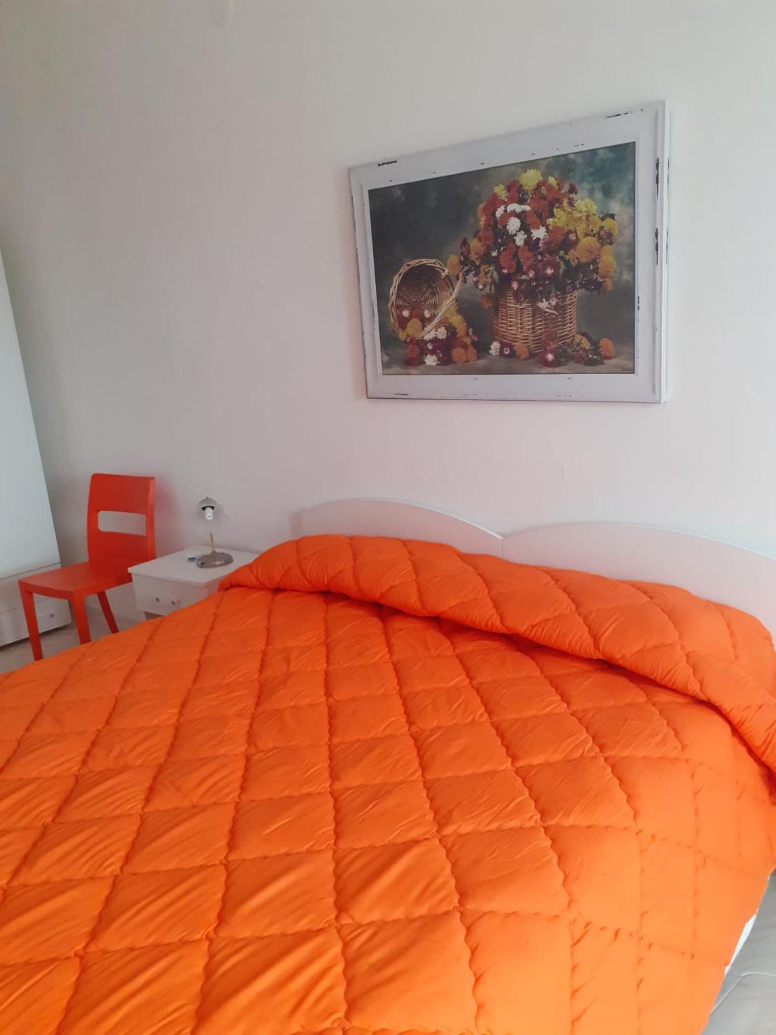 Double or Twin Room photo 1