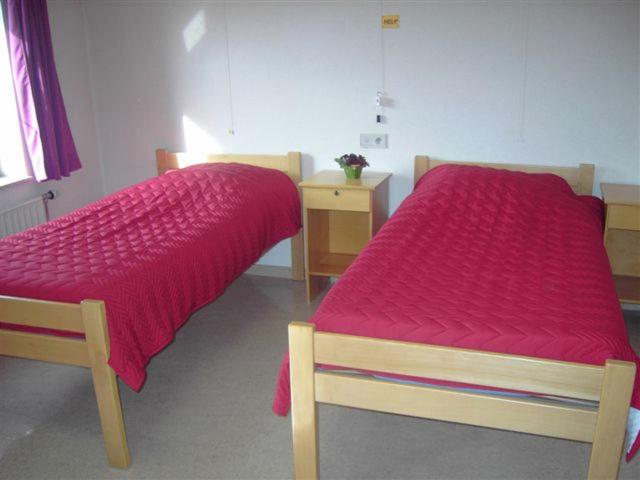 Triple Room - Disability Access - Photo 1