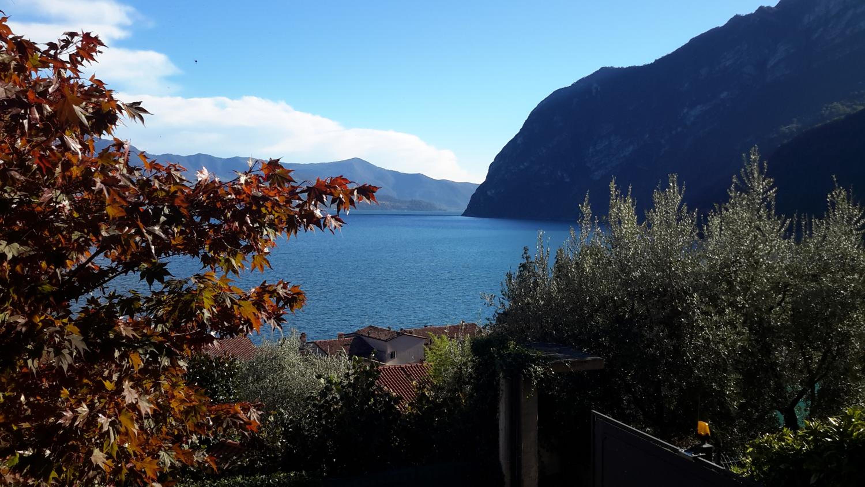 Studio with Lake View photo 3