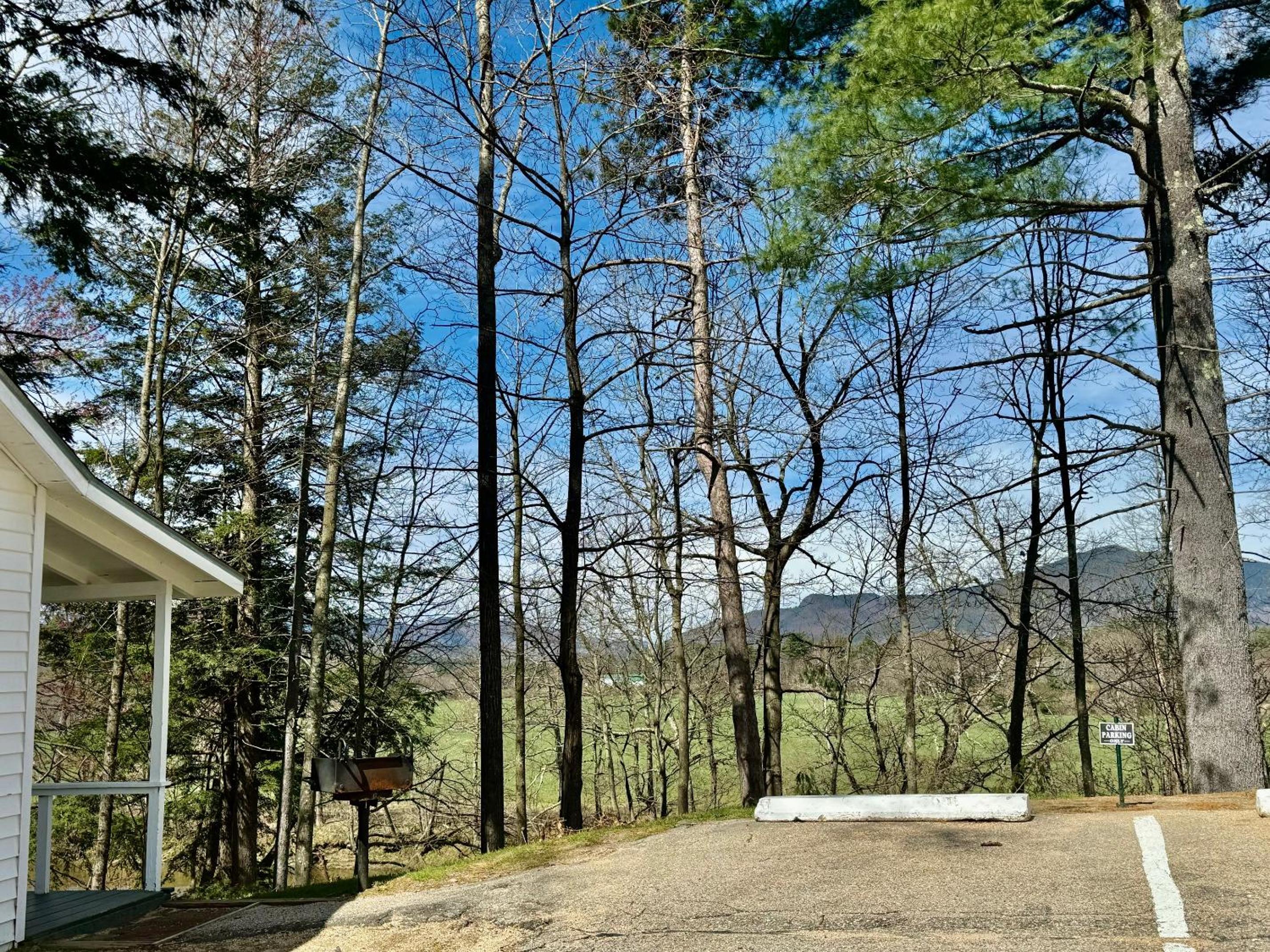 Couples Cabin photo 2