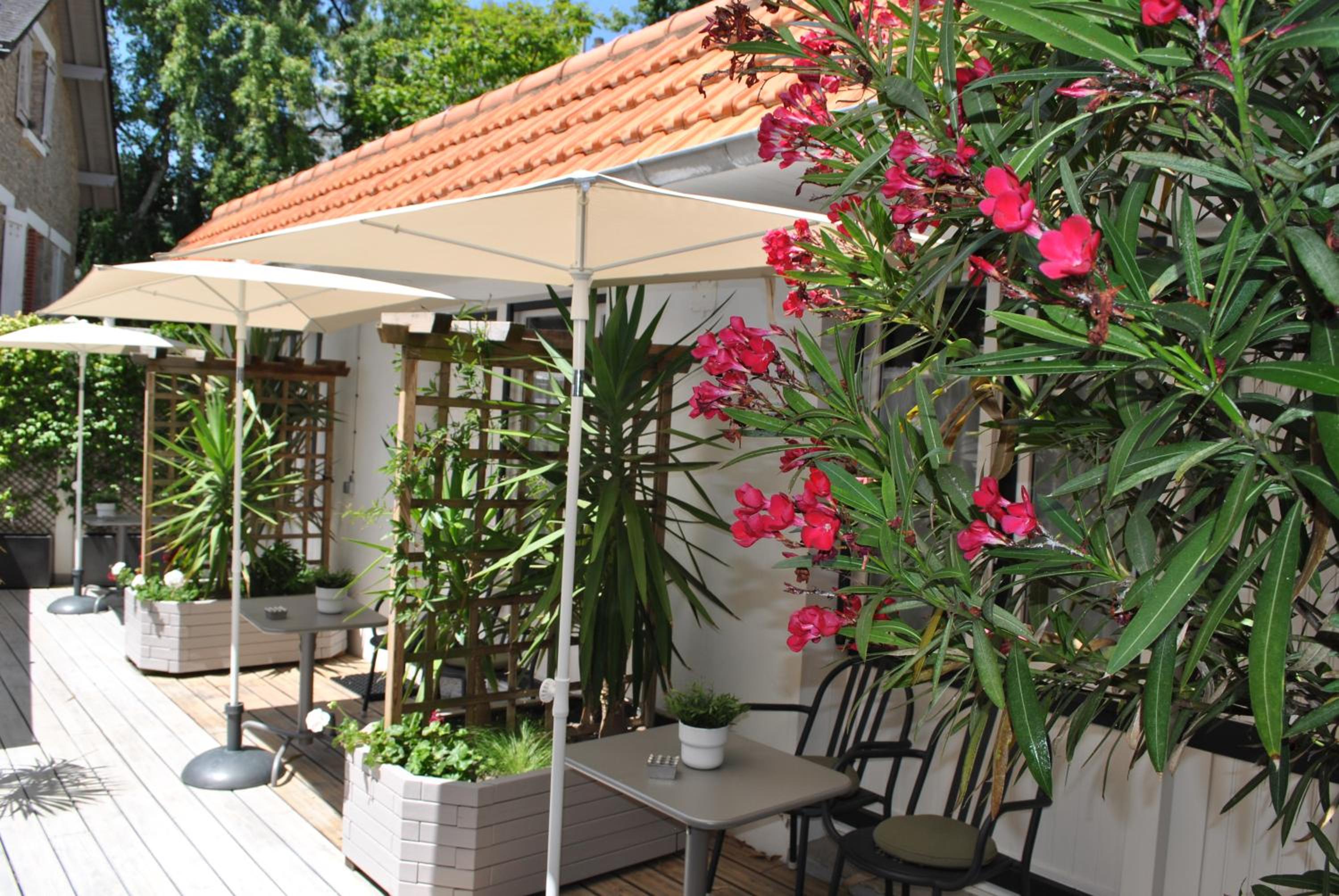 Double Room with Patio - Photo 5