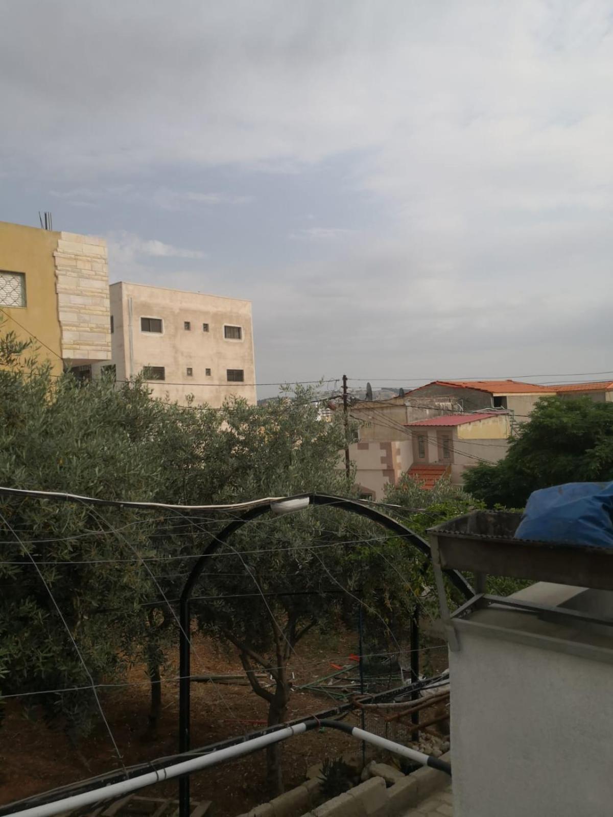 Studio with Garden View photo 3