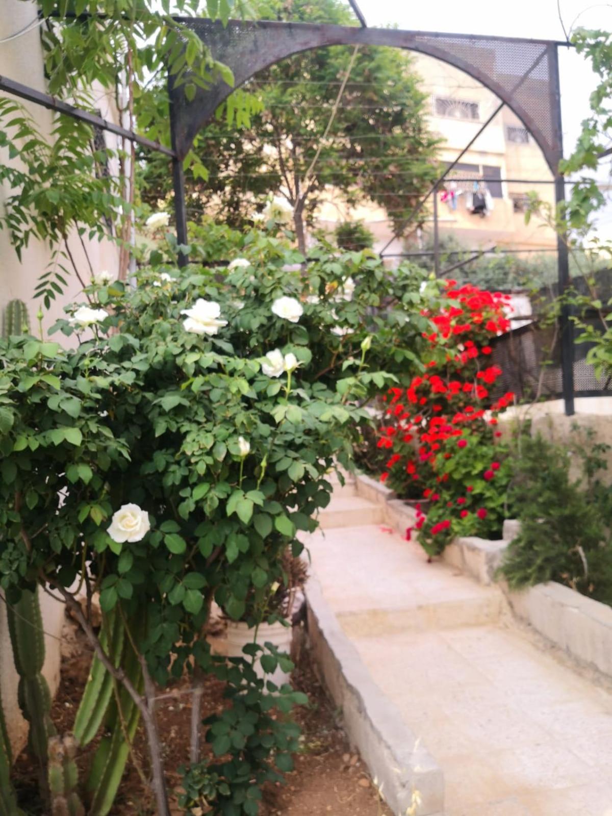 Studio with Garden View photo 2