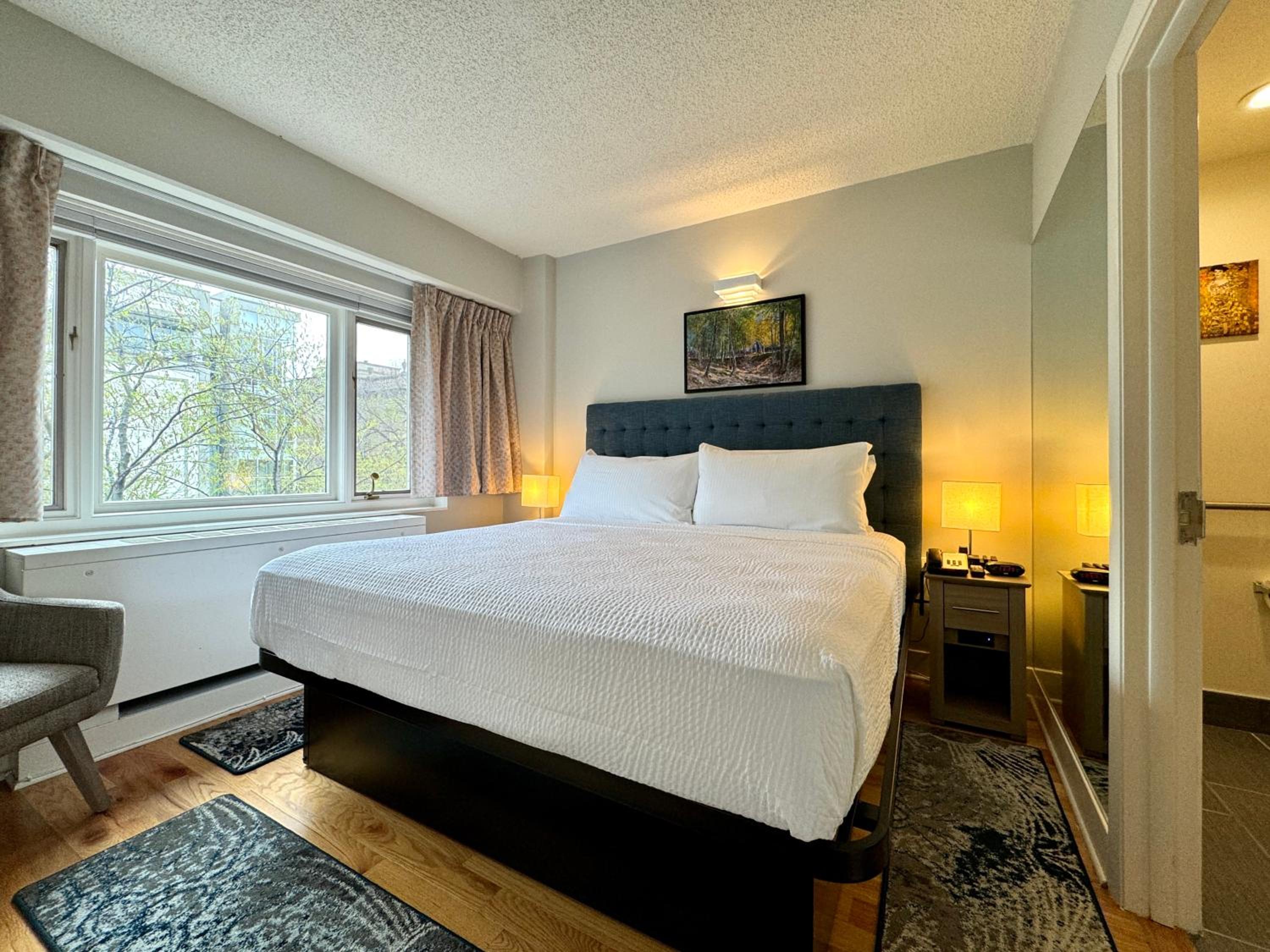Deluxe King Suite