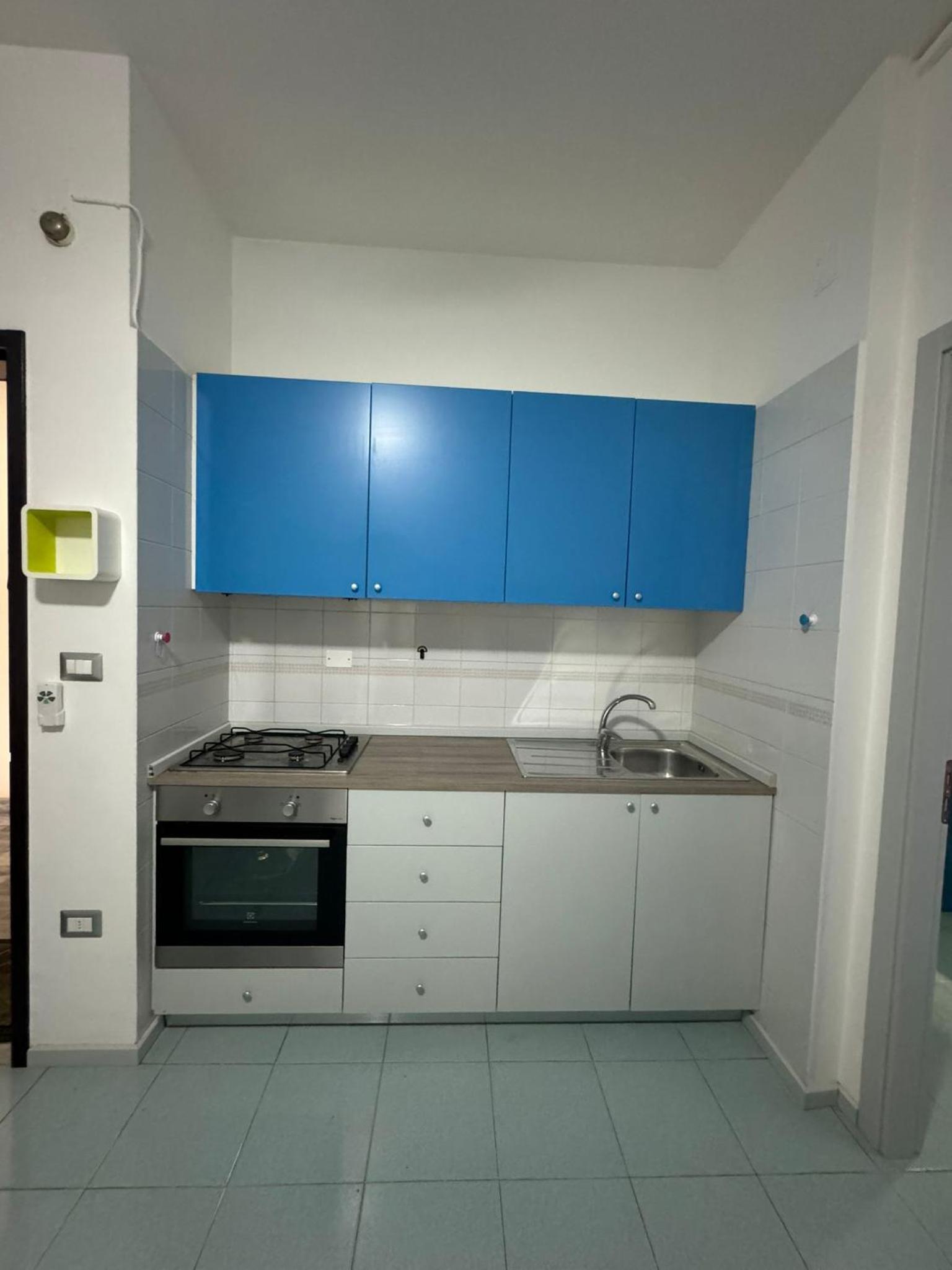 One-Bedroom Apartment photo 3