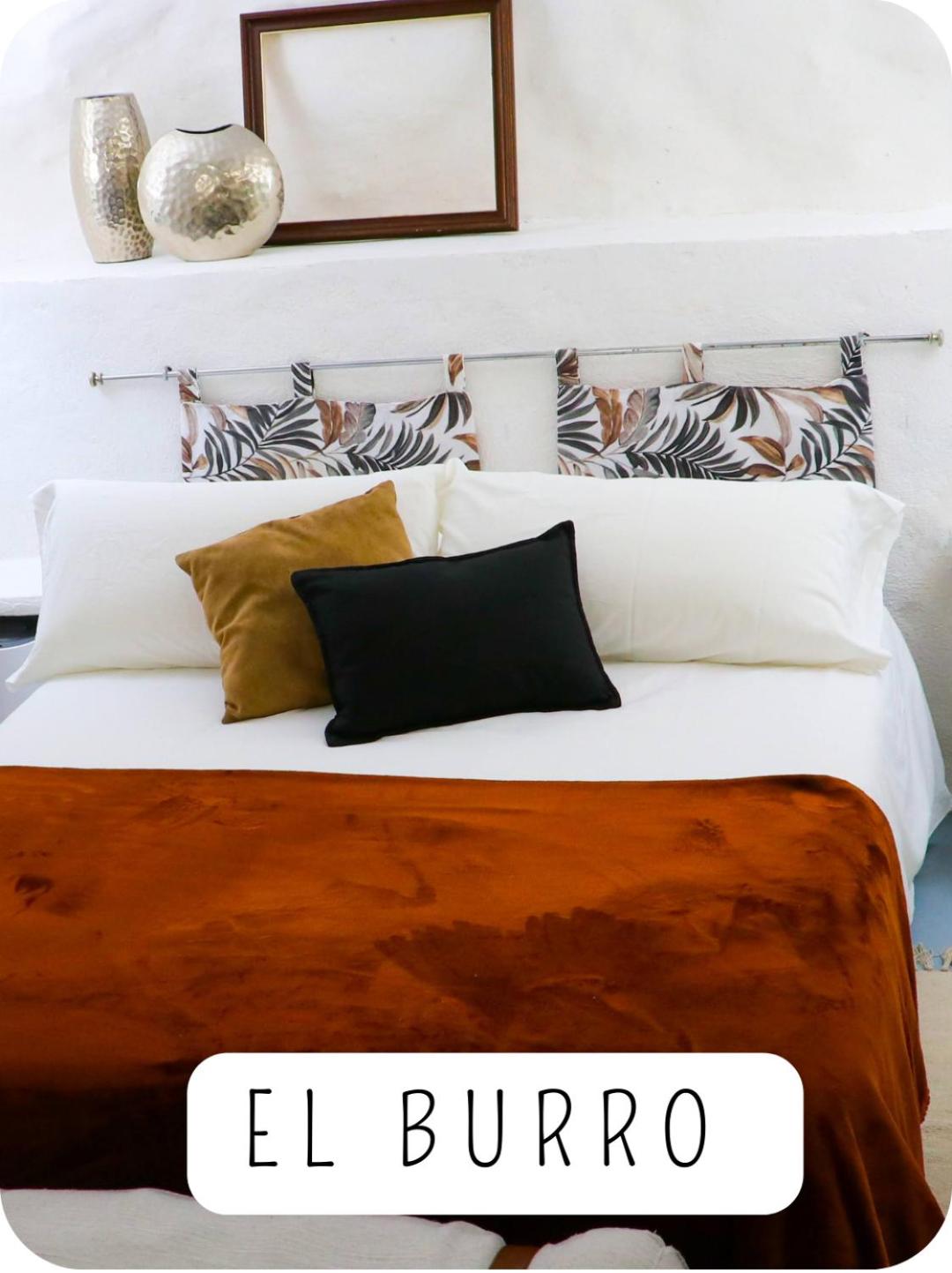 Suite Estándar