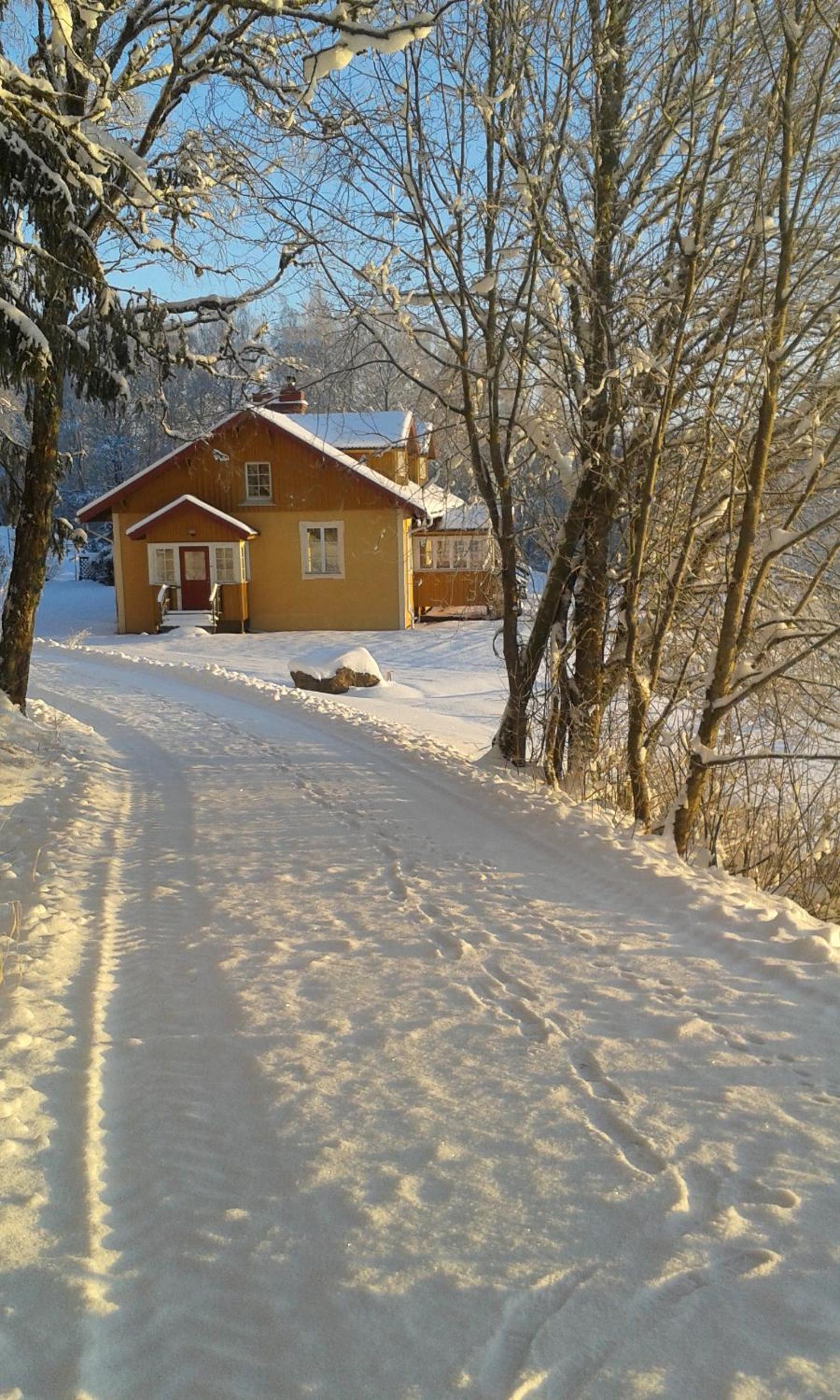 One-Bedroom House photo 1