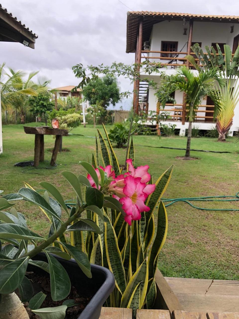 Bungalow photo 3