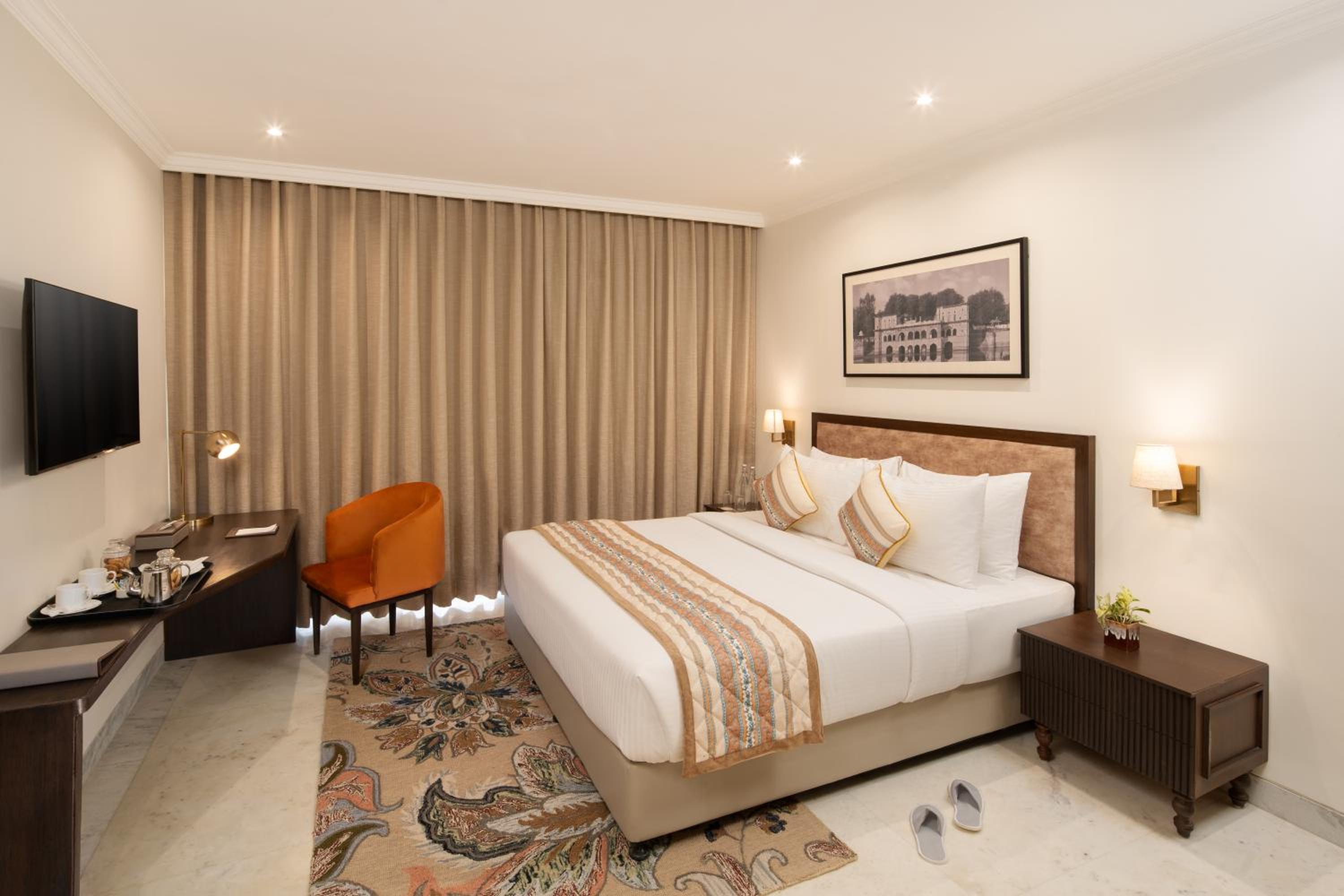 Suite - Photo 1