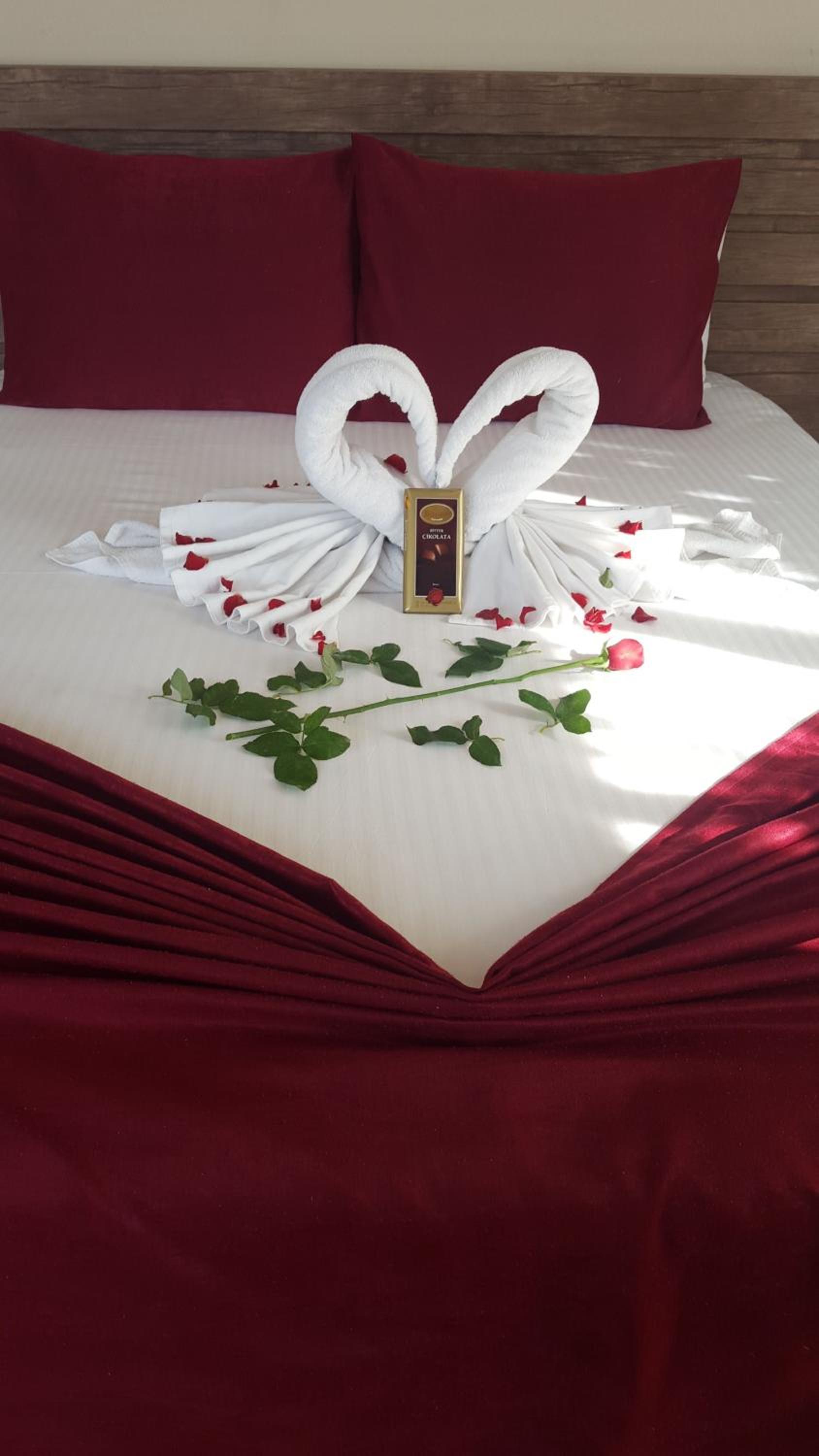 Double or Twin Room photo 3