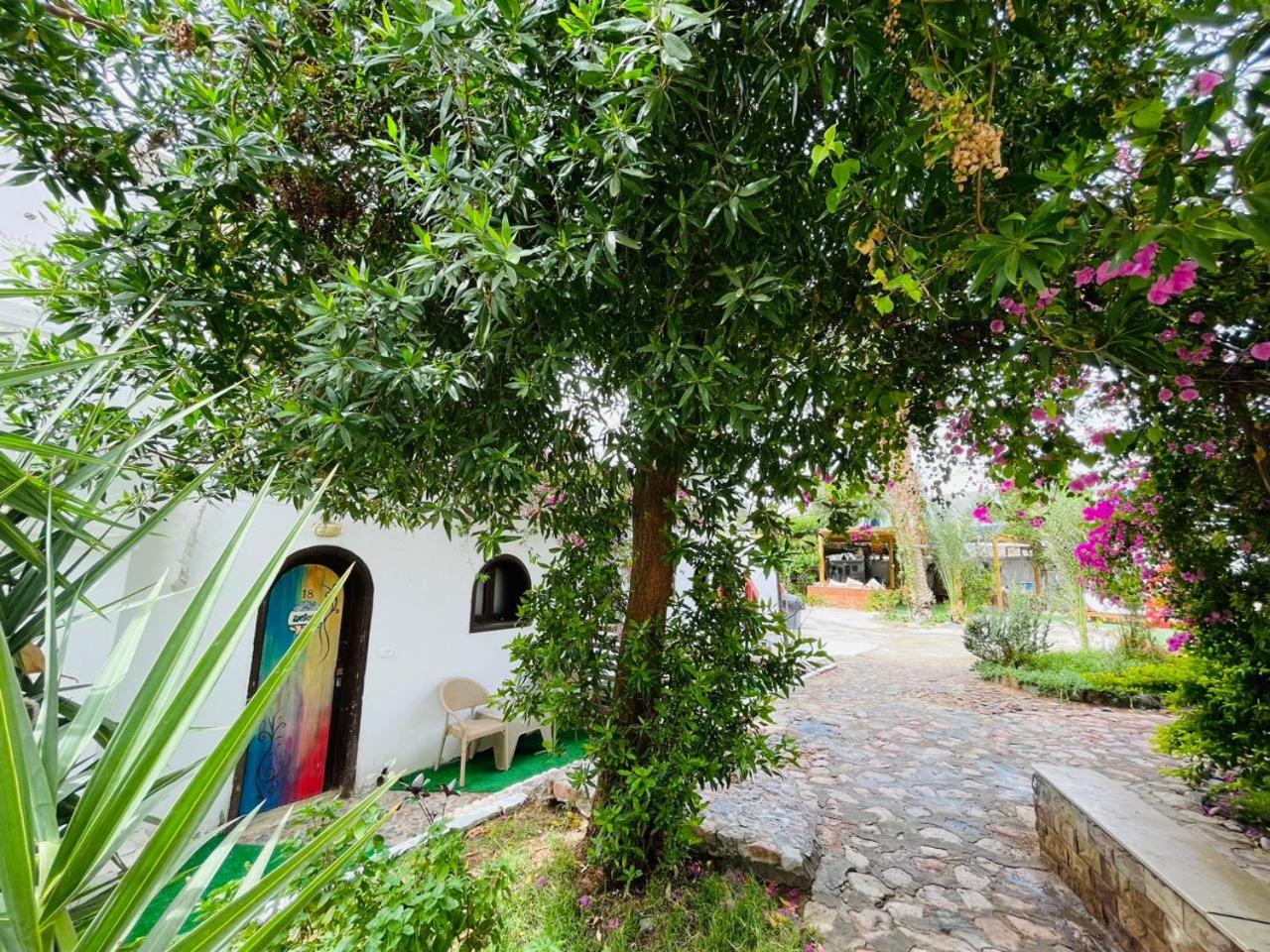 Standard Double or Twin Room with Garden View photo 3