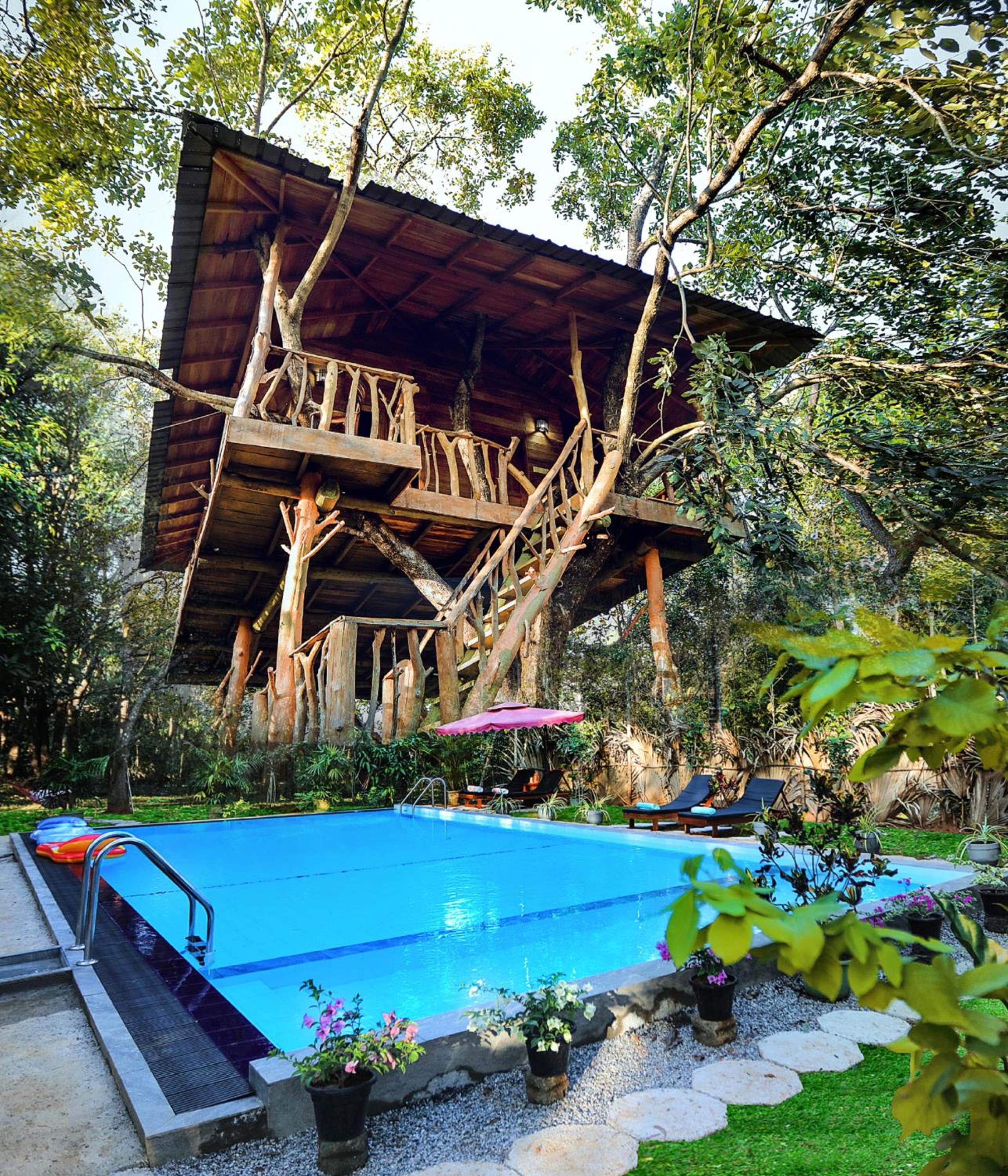 Tree House photo 1