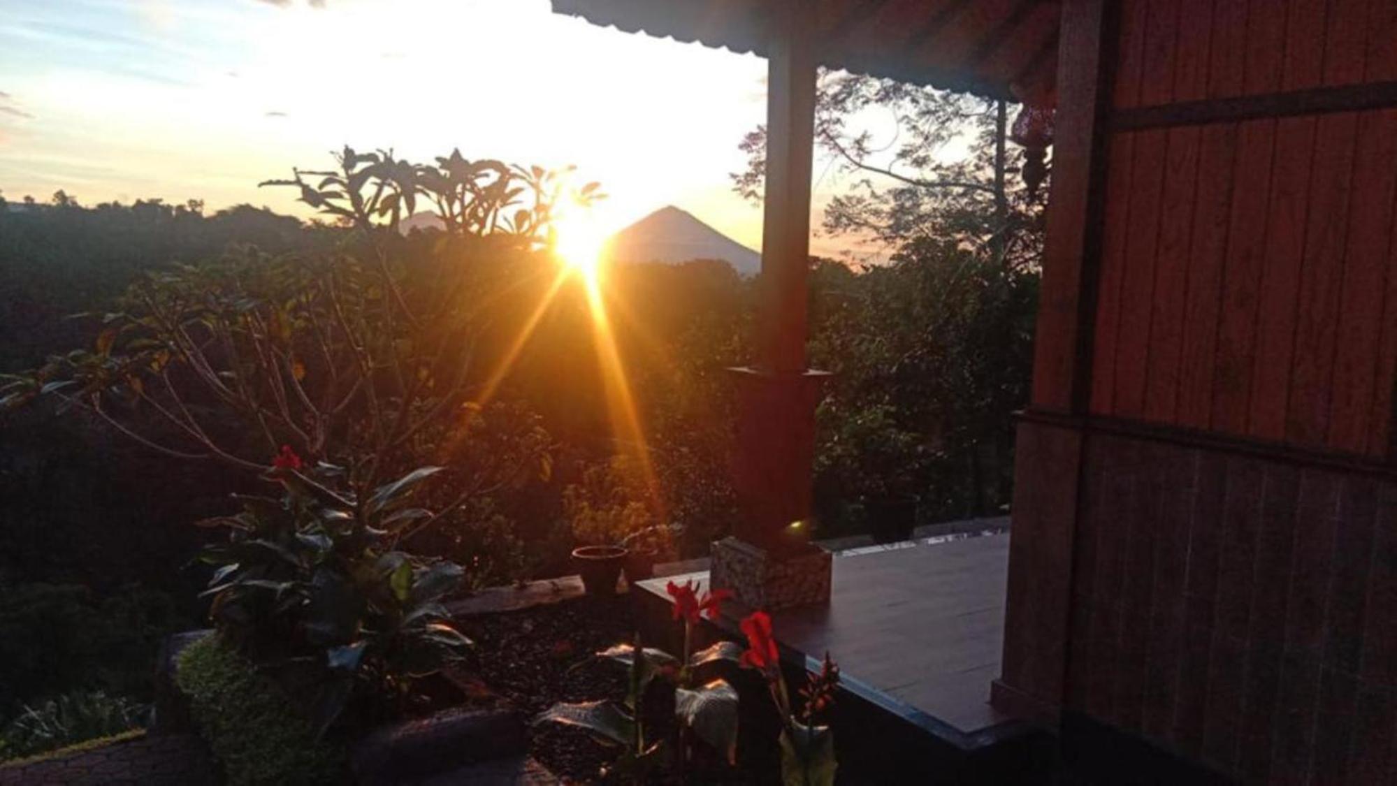 Double Room with Terrace photo 2