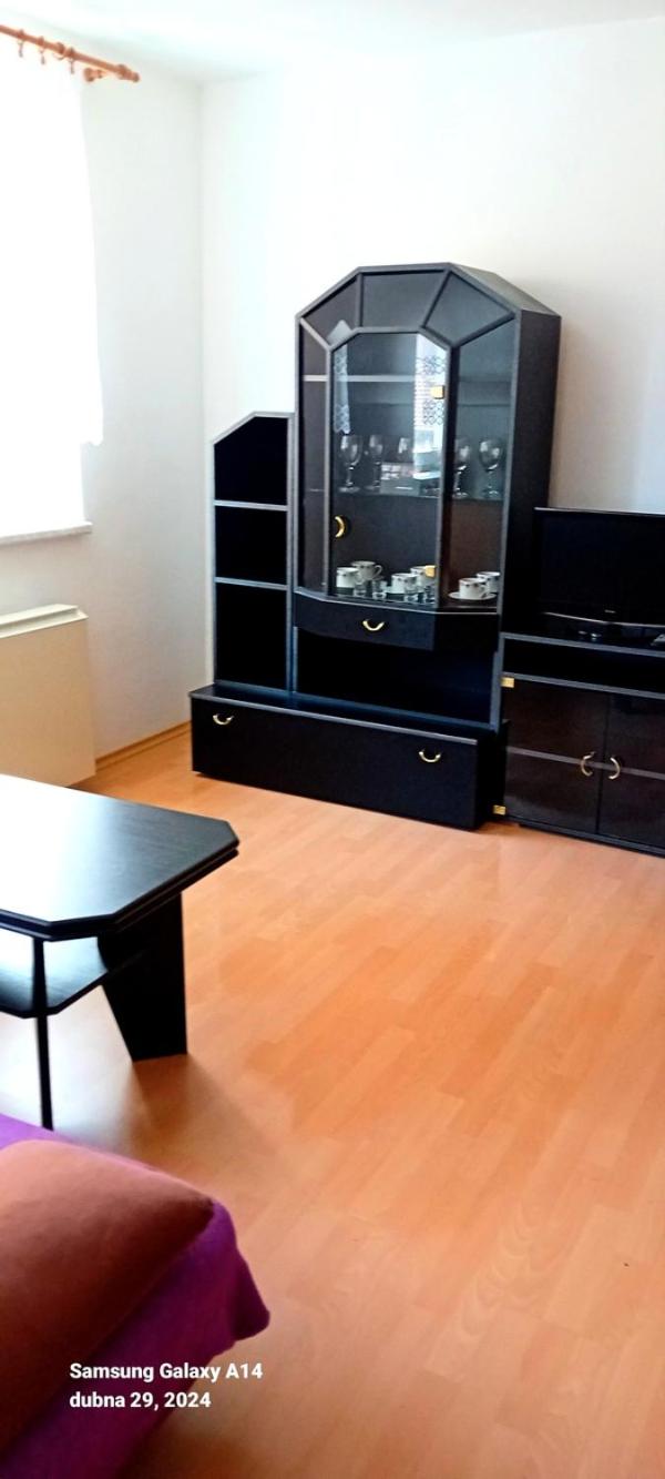 Standard Apartment photo 3