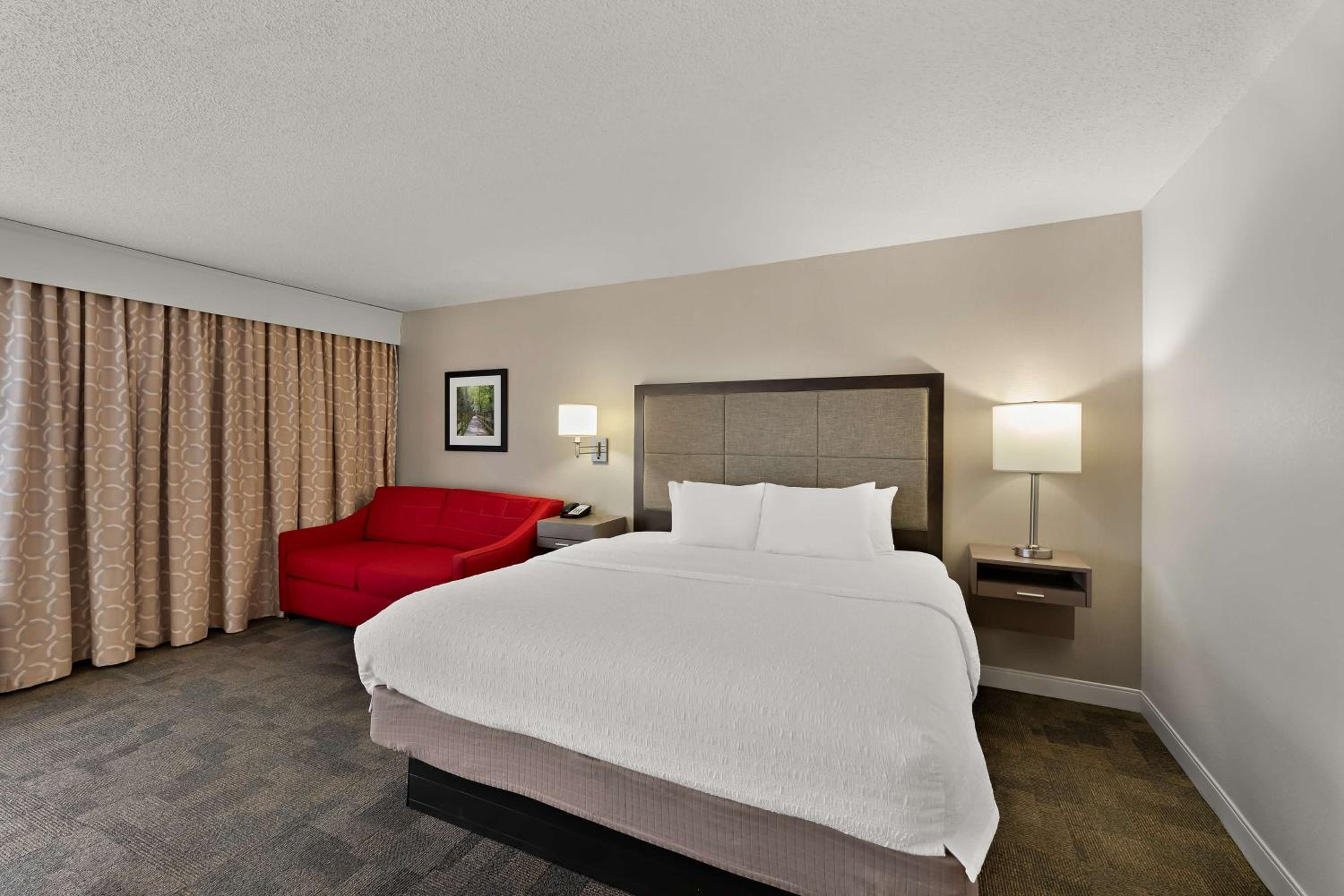One-Bedroom King Suite with Sofa Bed - Non-Smoking photo 2