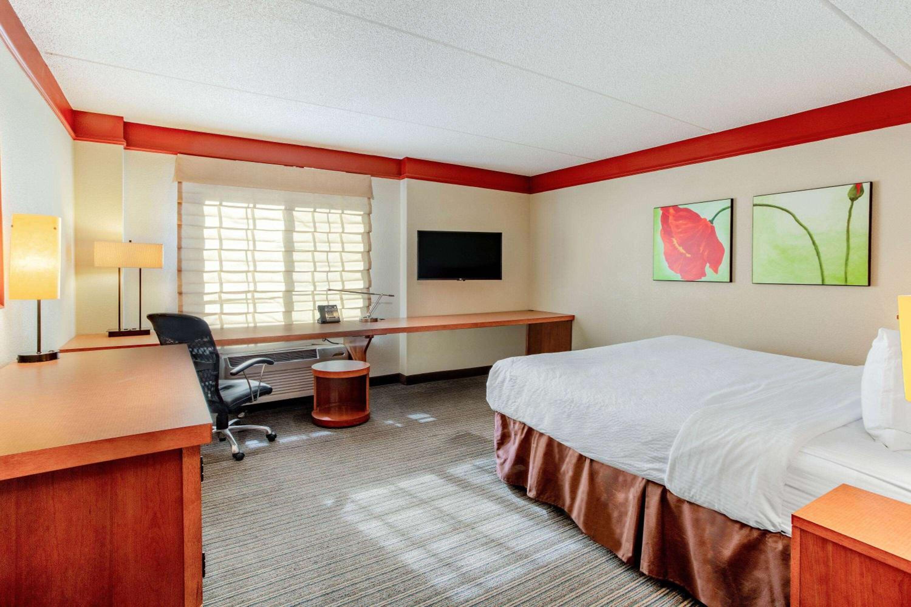 King Room - Disability Access photo 1