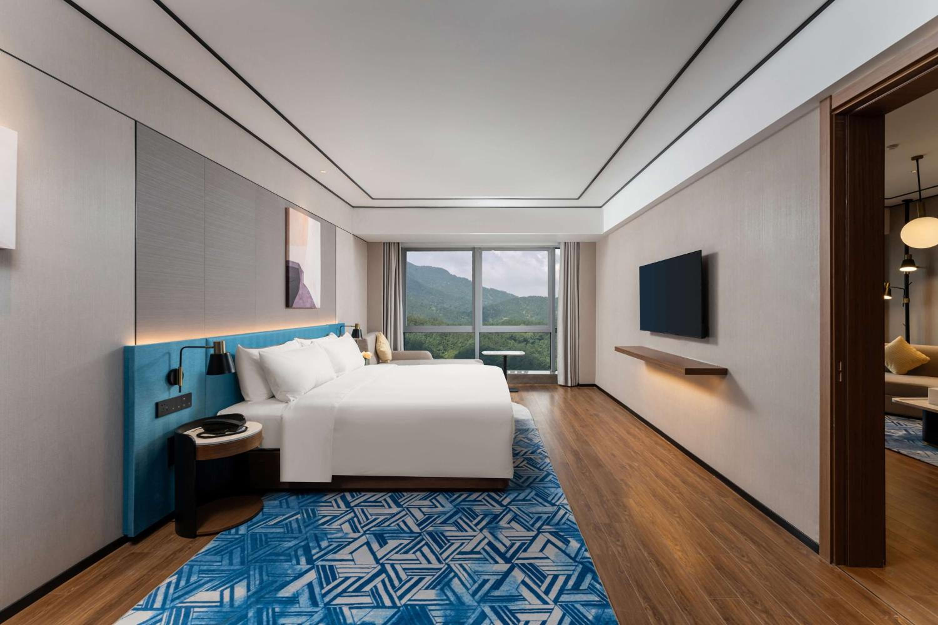 Deluxe King Suite photo 1