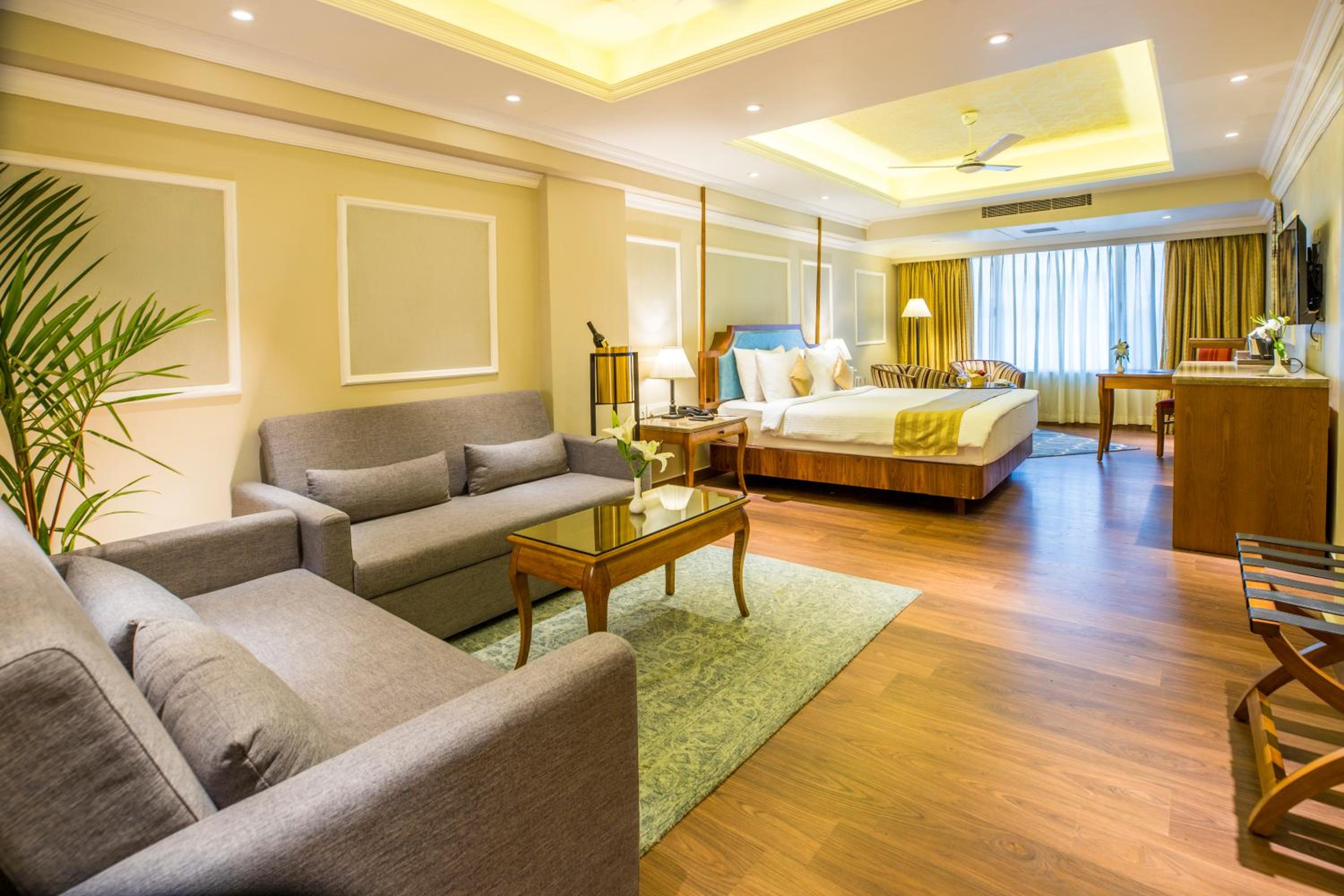 Executive Suite Executive Suite
