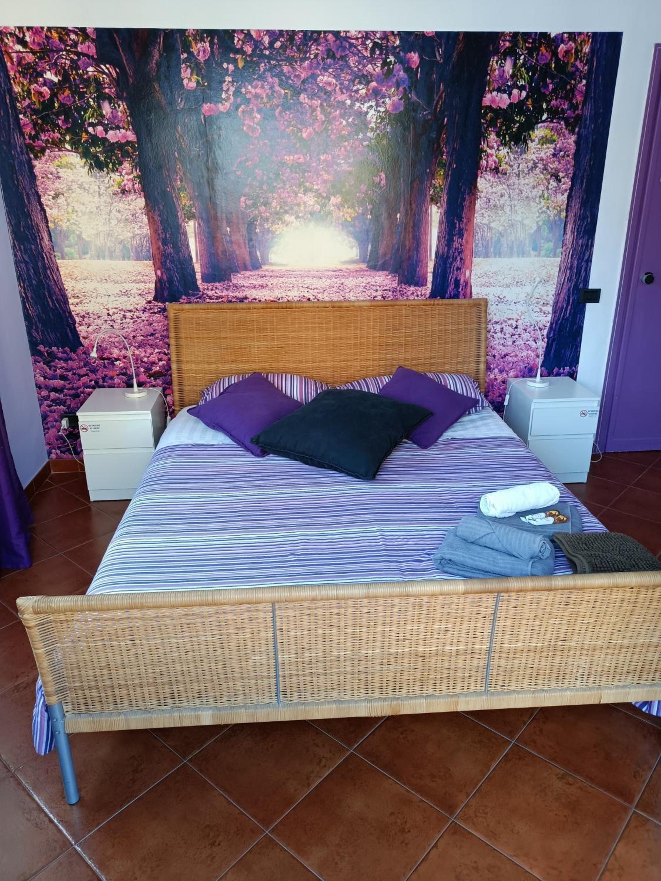 Double Room with Shared Bathroom