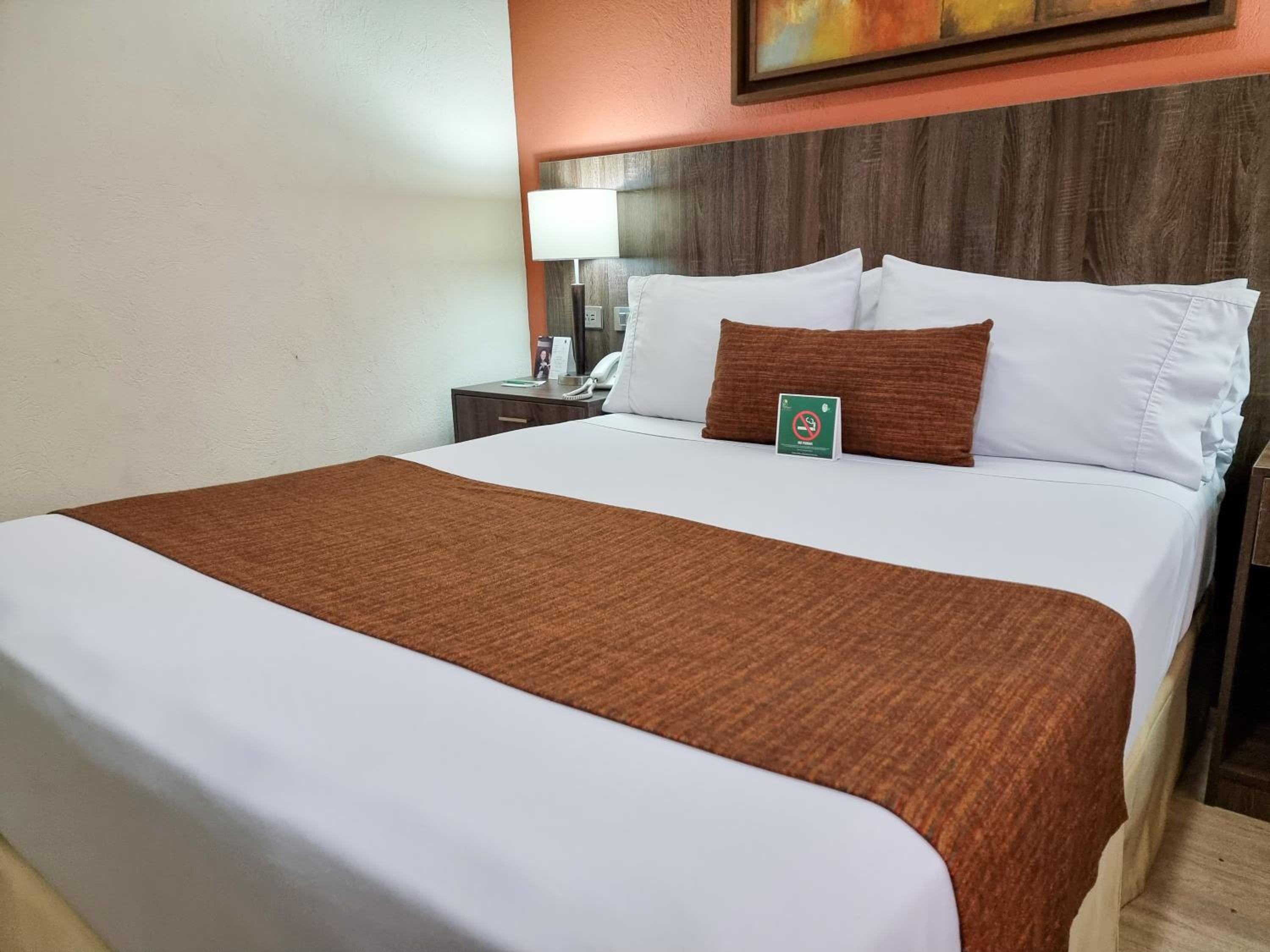 Executive Double Room - Photo 5