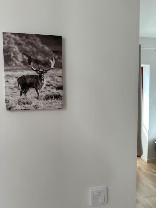 Three-Bedroom Apartment photo 2