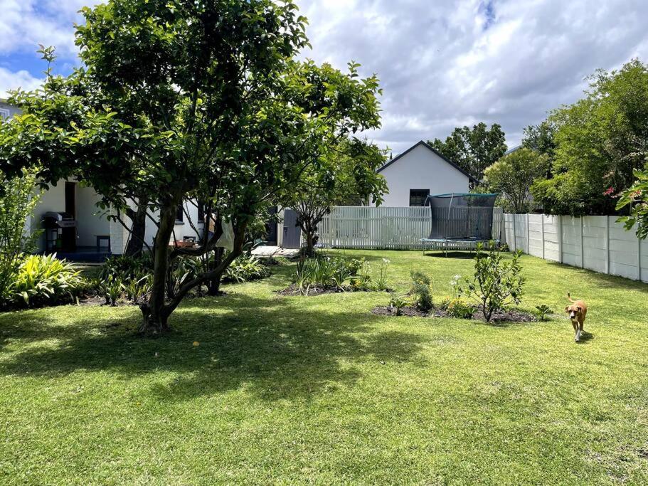 Three-Bedroom House photo 3