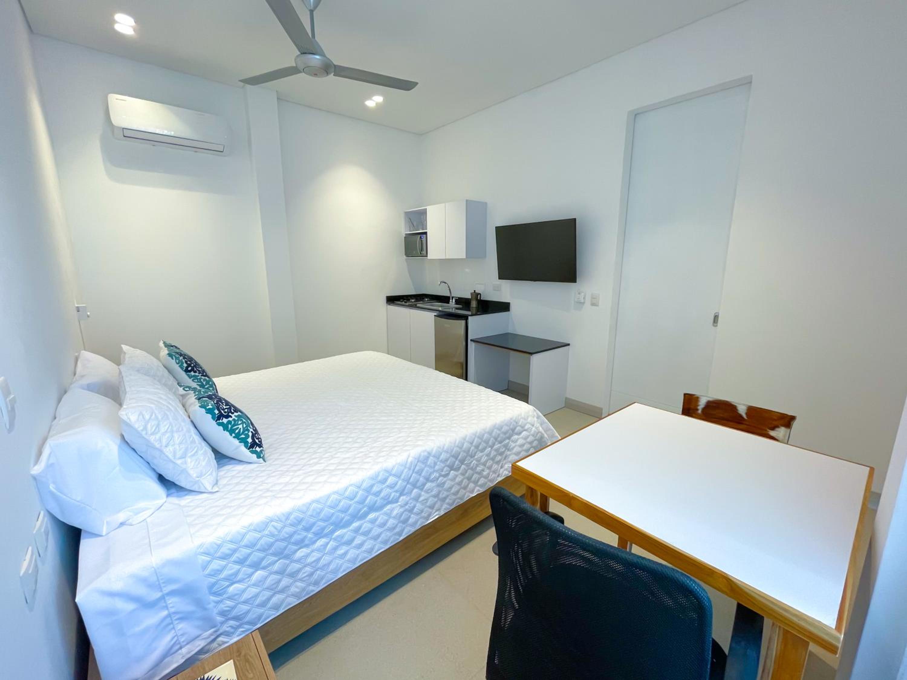 One-Bedroom Apartment photo 3