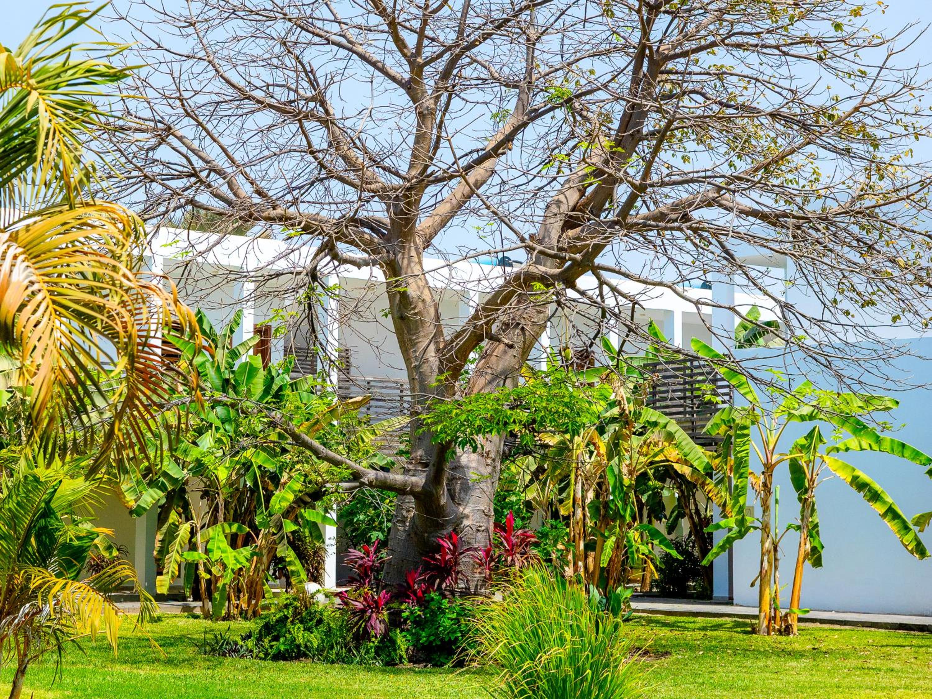 Double Room with Garden View - Photo 5