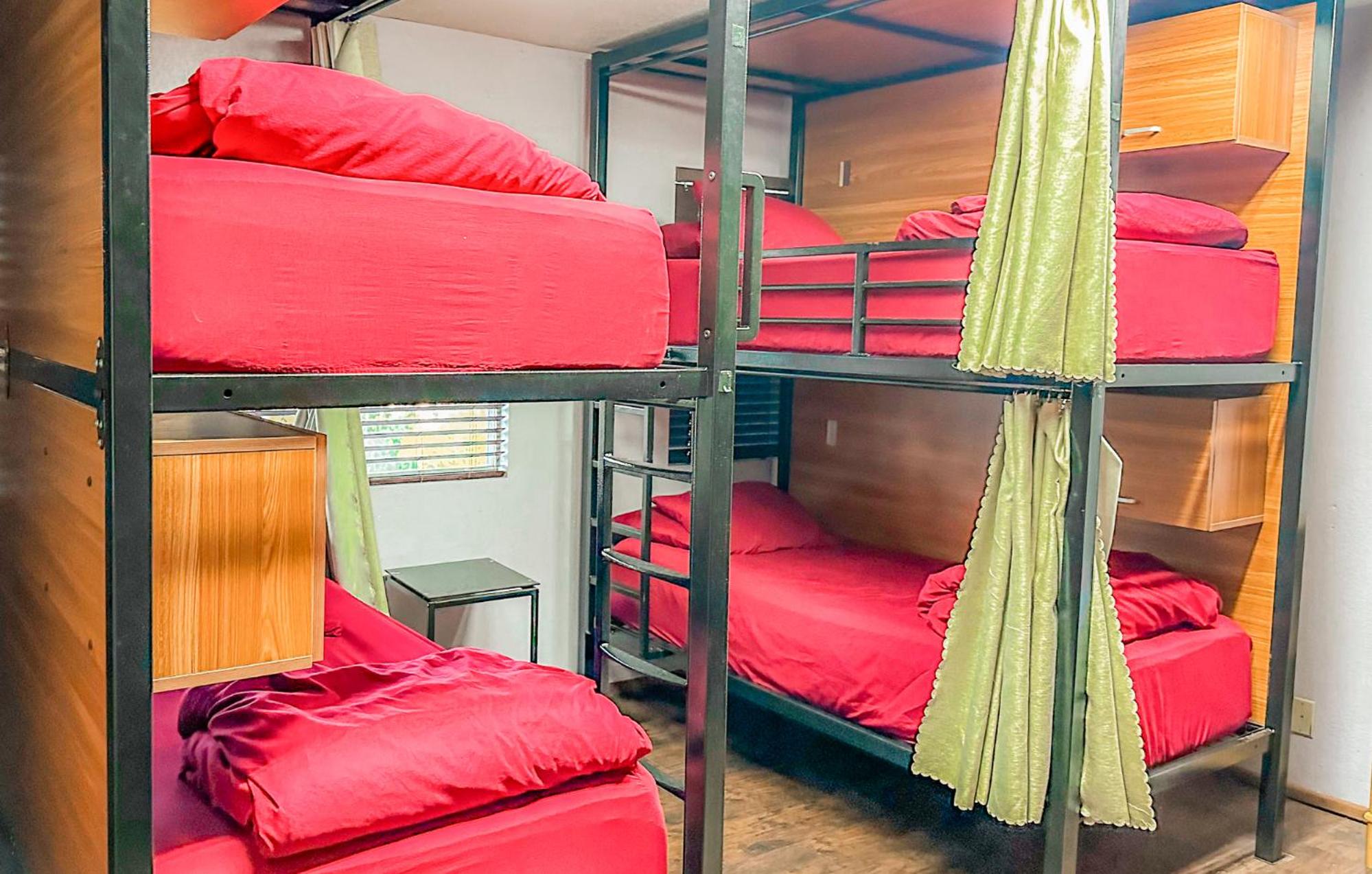 Bed in 8-Bed Mixed Dormitory Room with En suite Bathroom photo 1