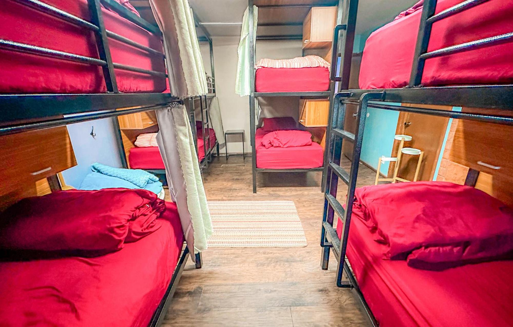 Bed in 8-Bed Mixed Dormitory Room with En suite Bathroom photo 3