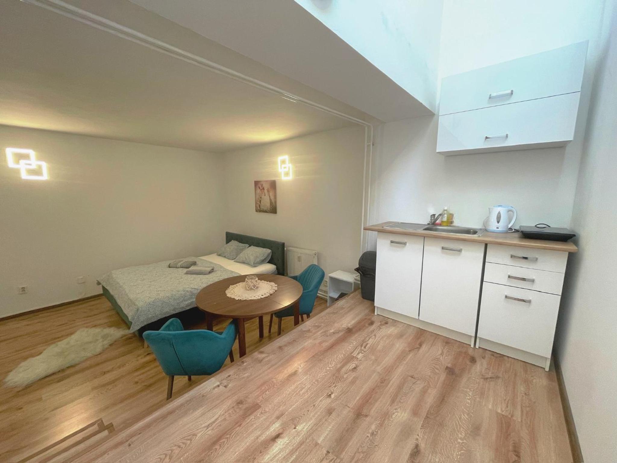 One-Bedroom Apartment photo 2