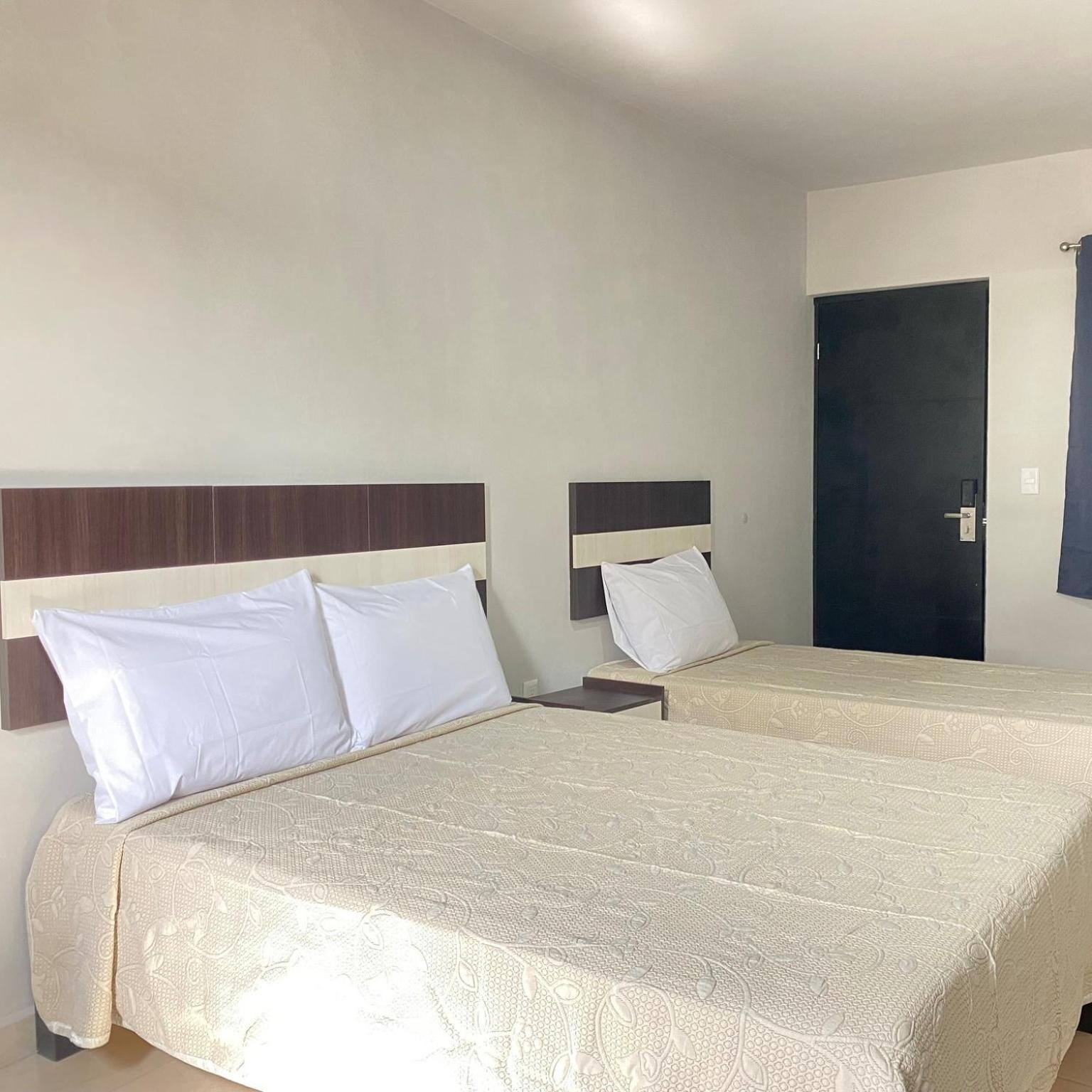 Twin Room photo 2