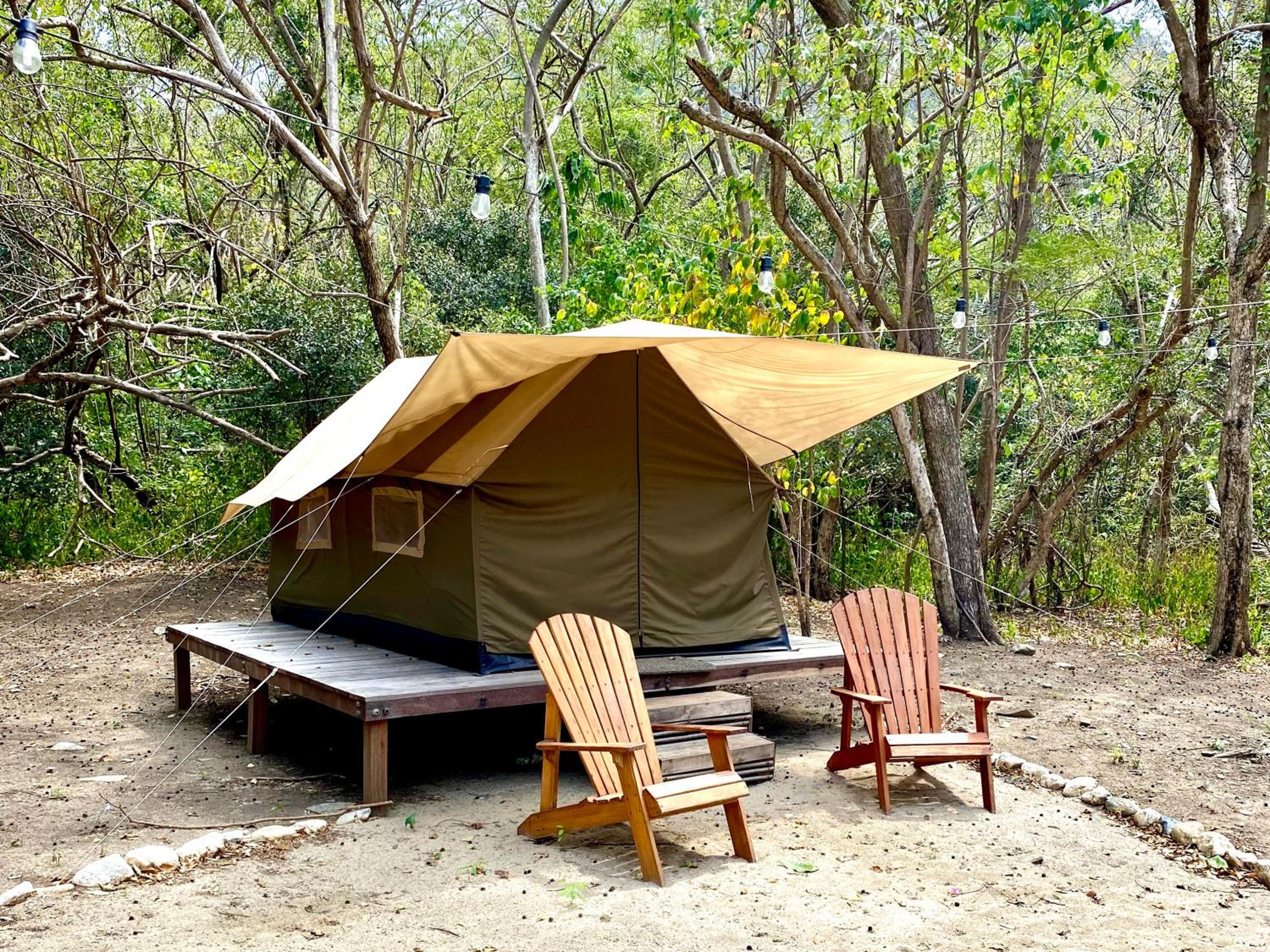 Tent