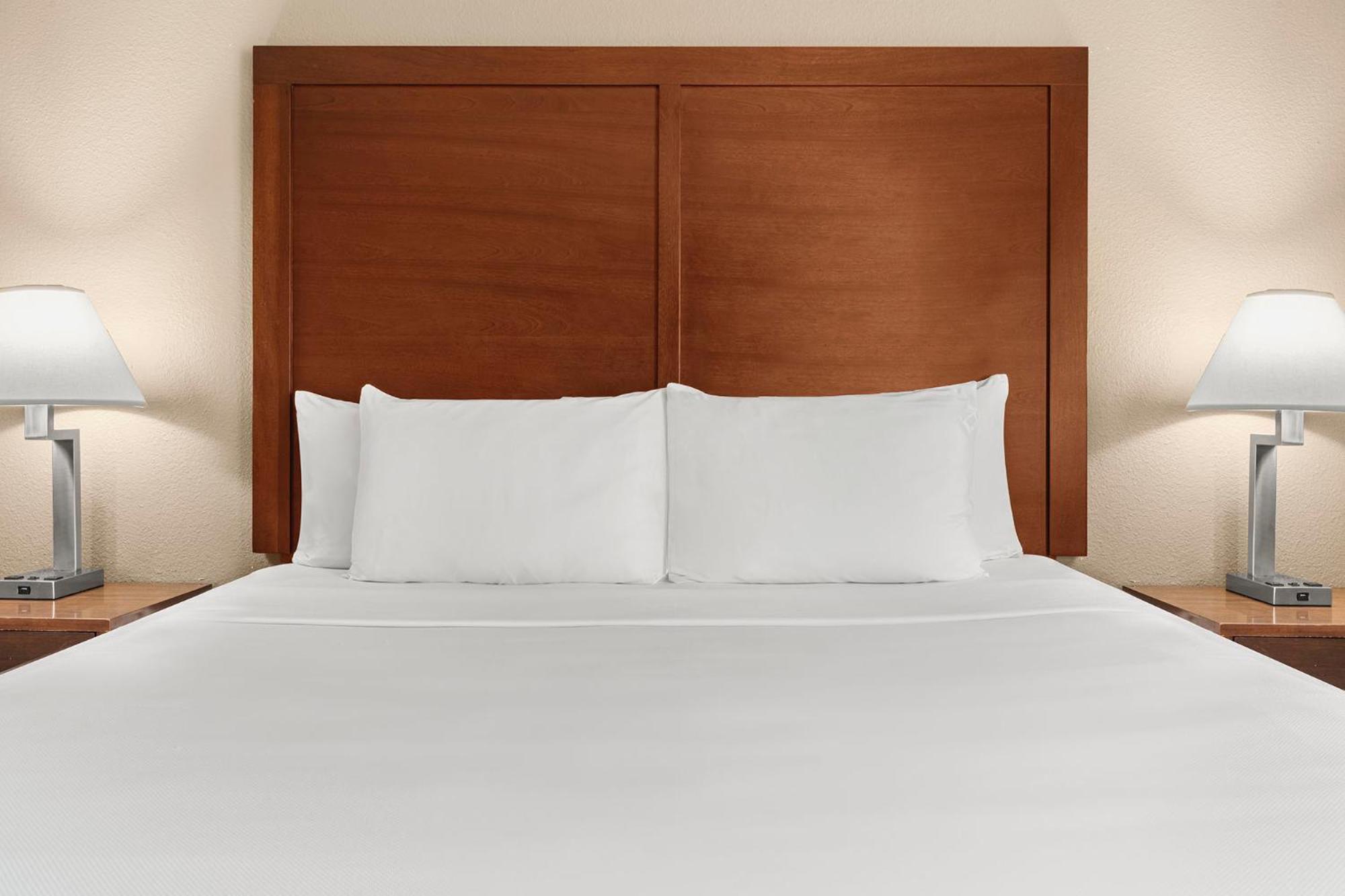 Standard King Room - Photo 5