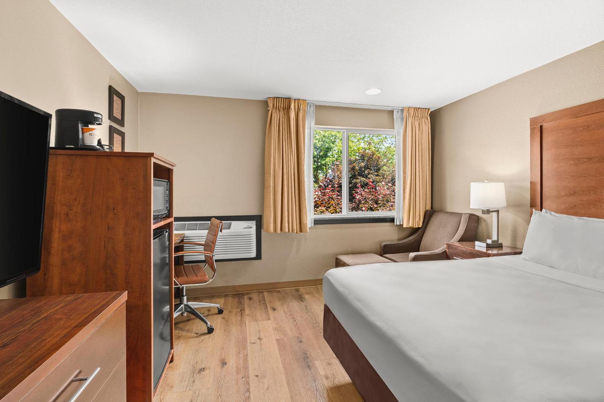 Standard King Room - Photo 6