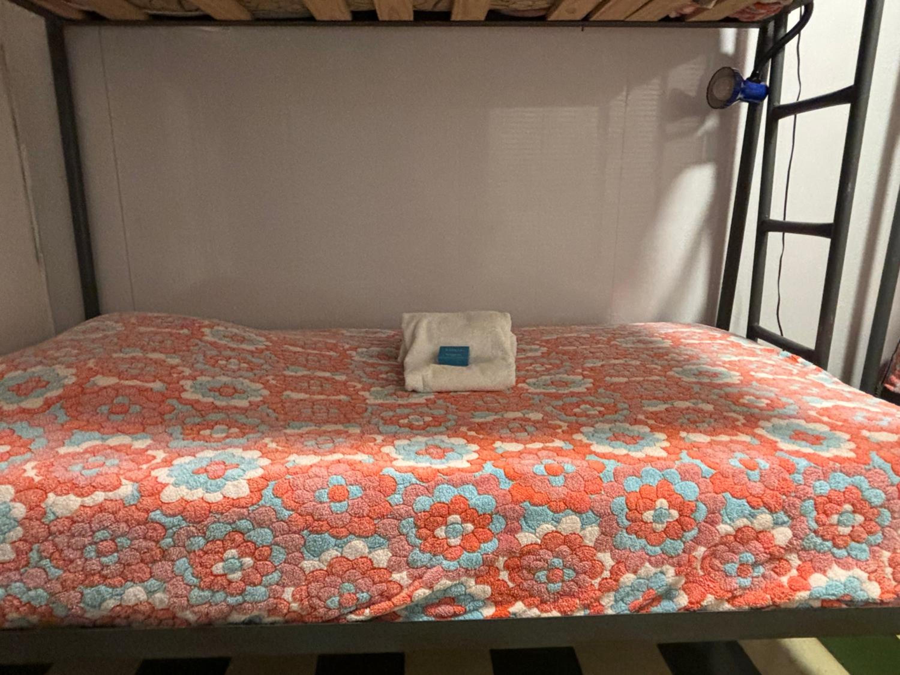 Bed in 4-Bed Male Dormitory Room photo 2