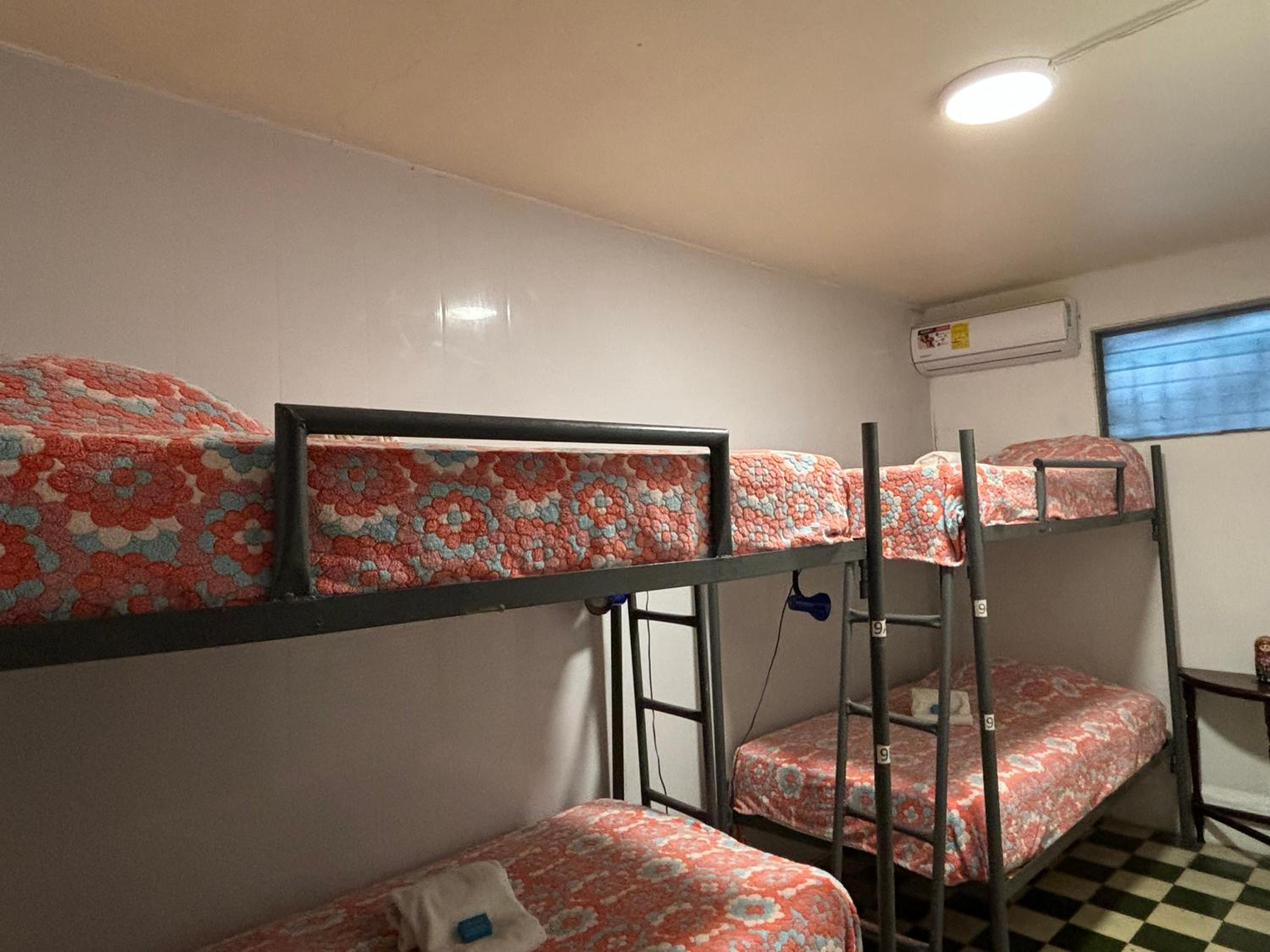Bed in 4-Bed Female Dormitory Room photo 2