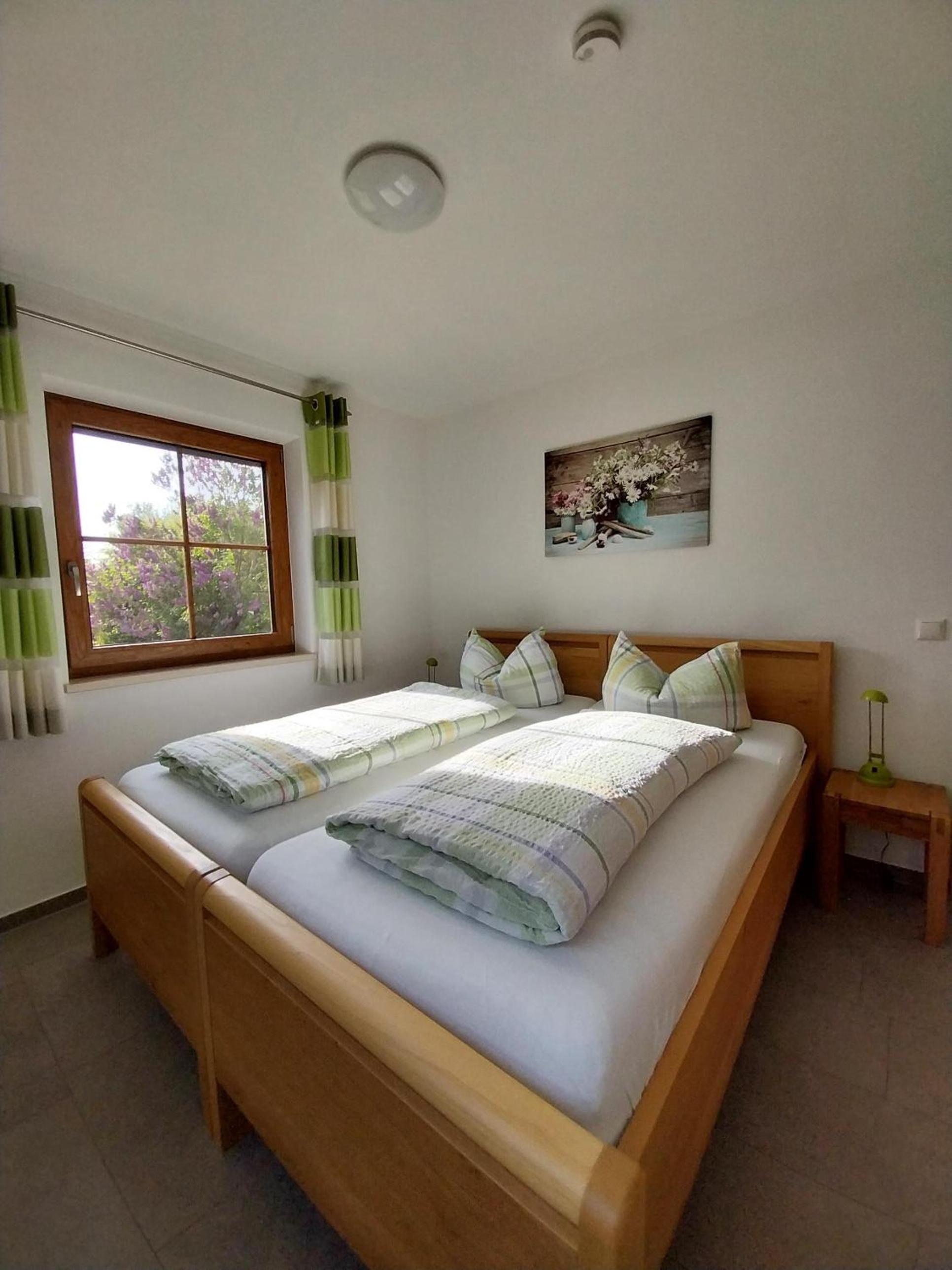 Apartment with Terrace photo 3